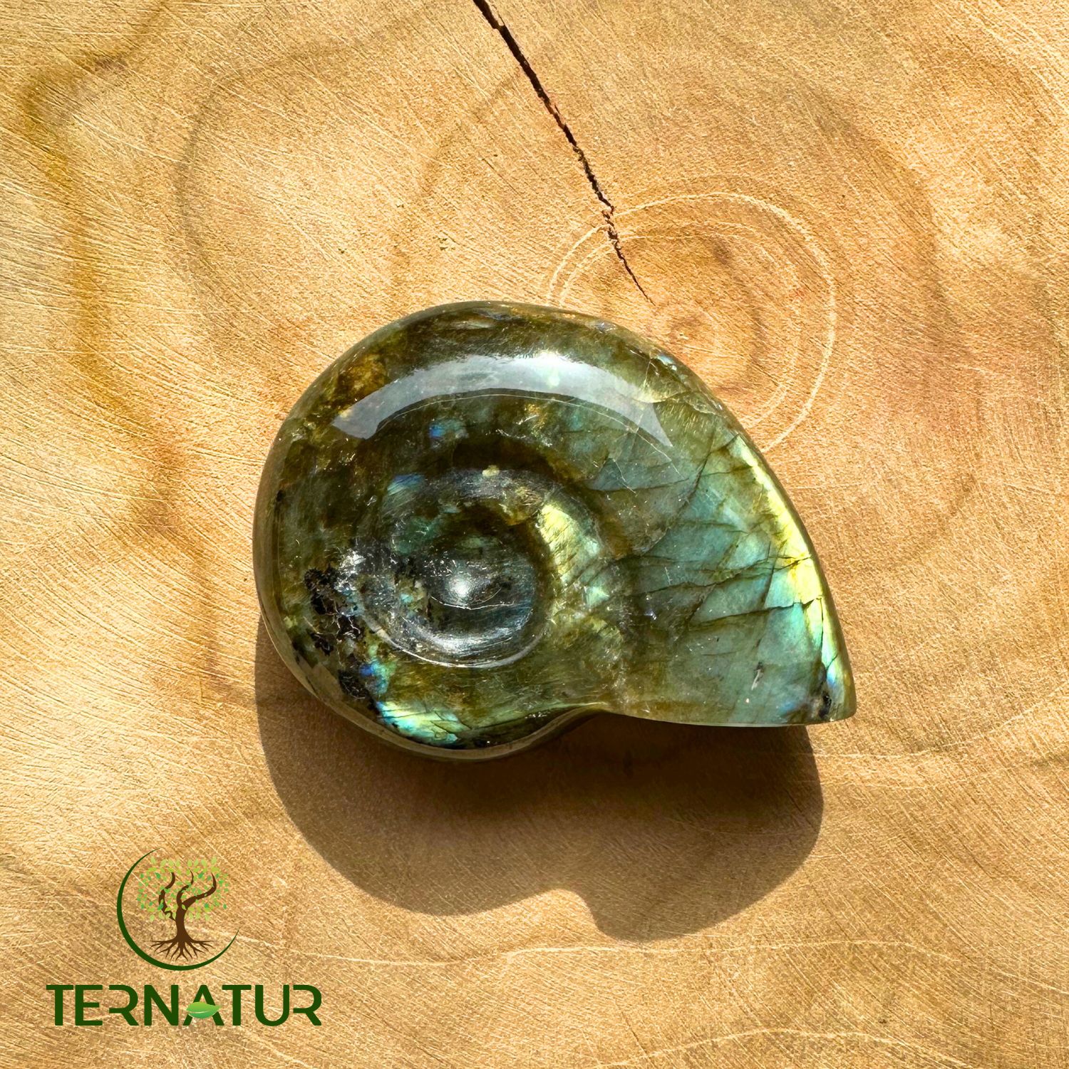 ammonite-labradorite