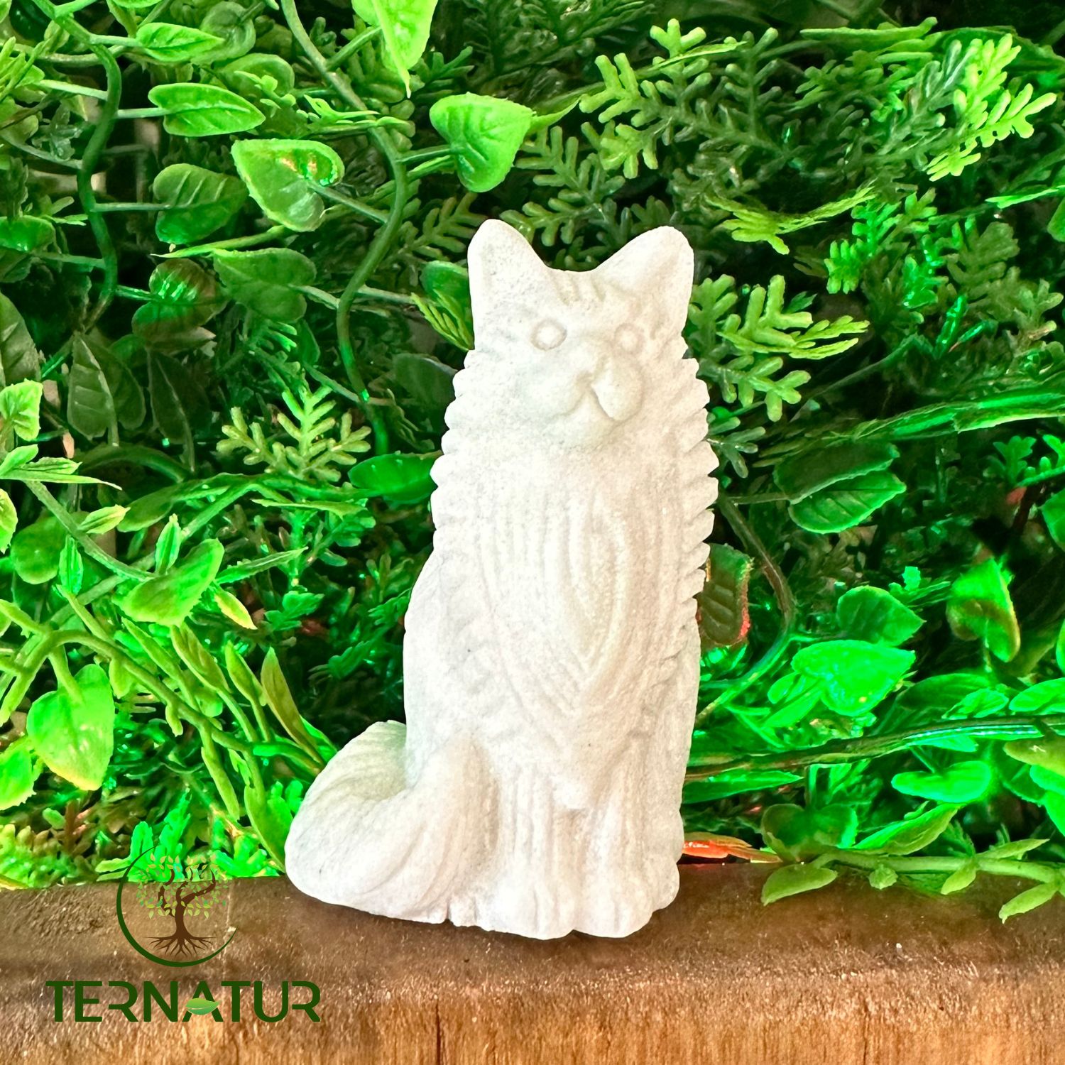 jade-blanc-chat