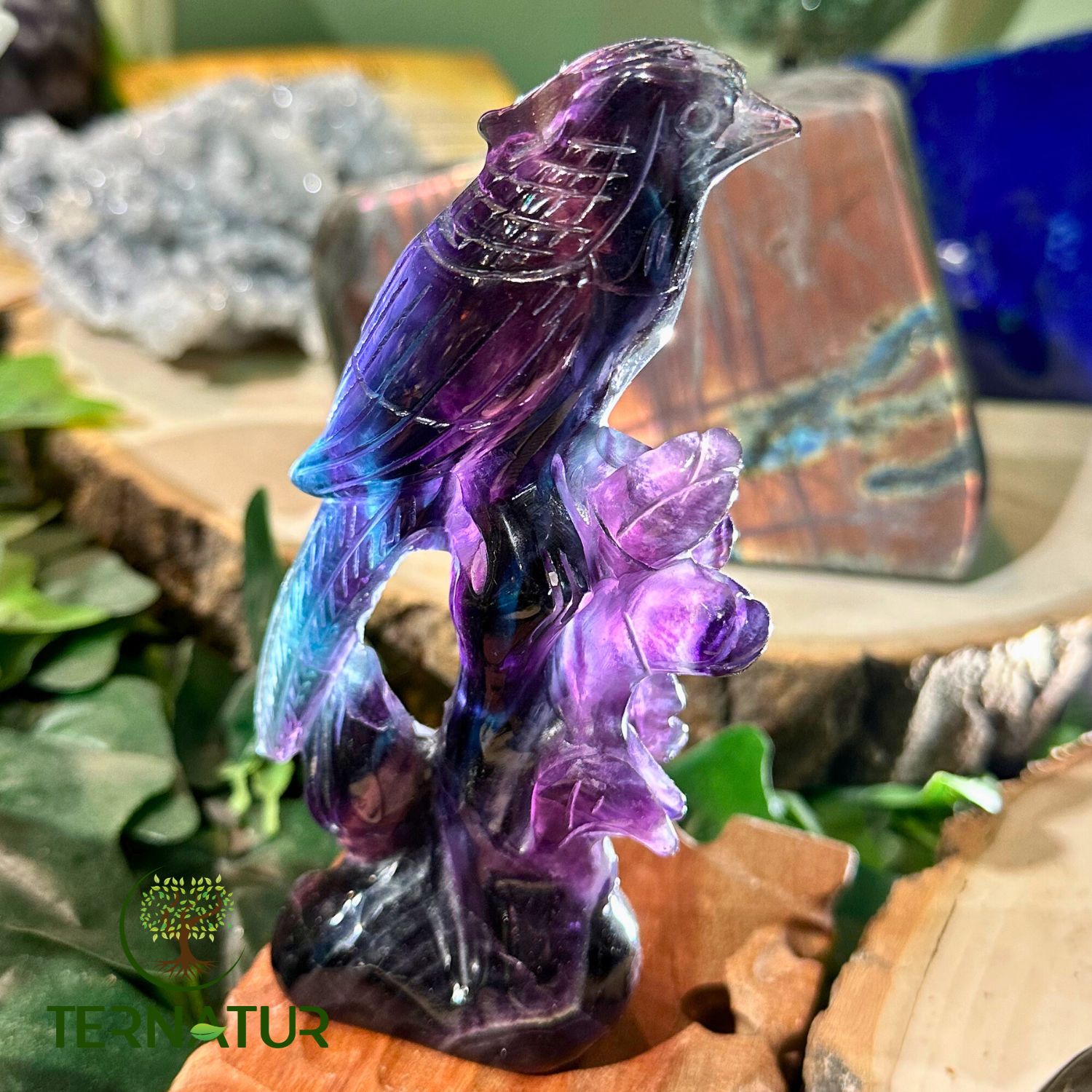 fluorite-perruche