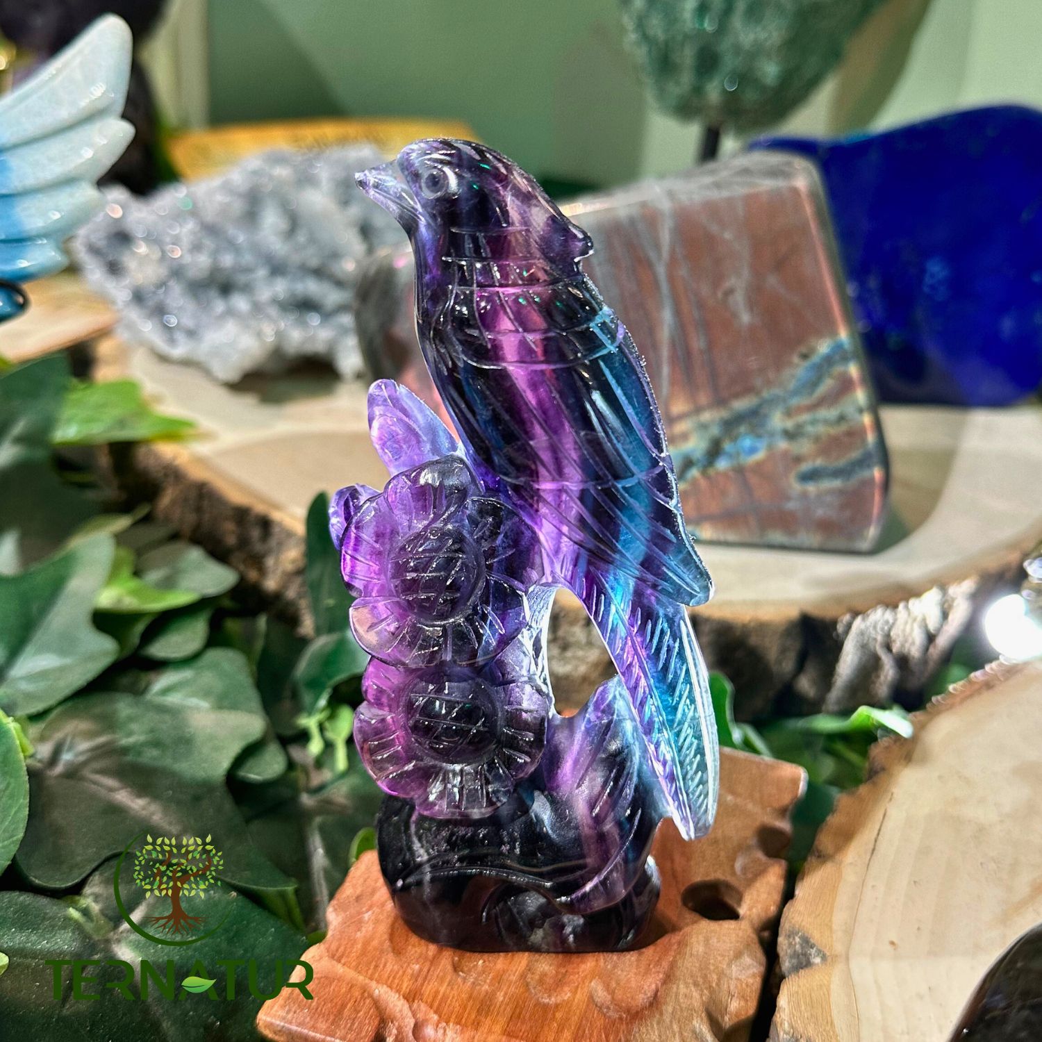 perruche-animal-totem-fluorite-fluorine