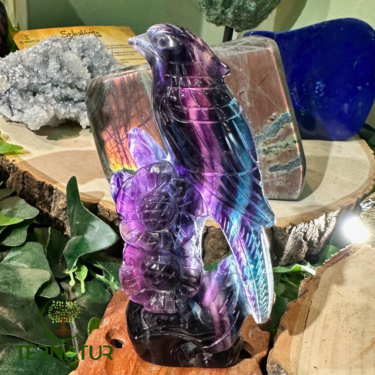 perruche-fluorine-fluorite