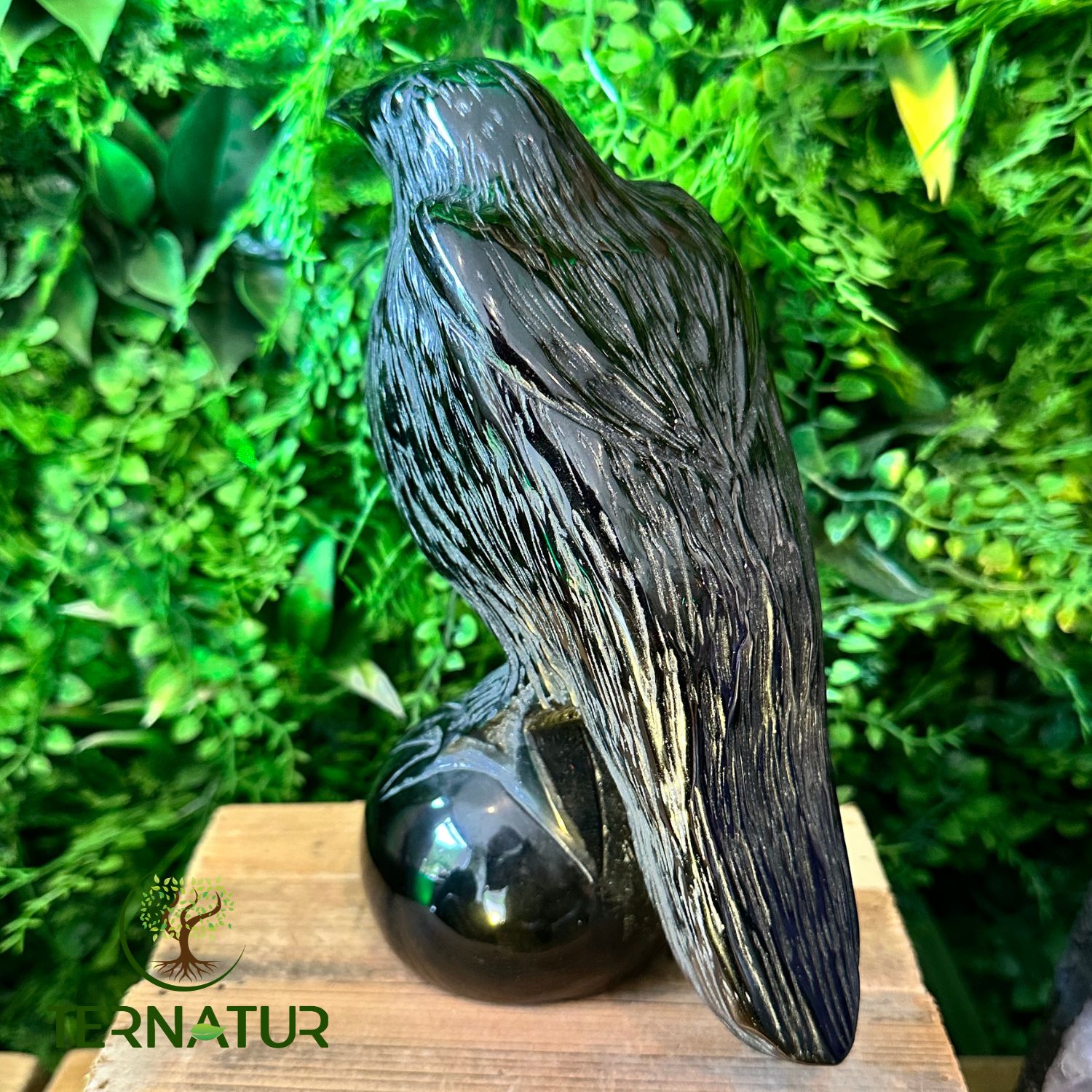 ANIMAL_CORBEAU_OBSIDIENNE