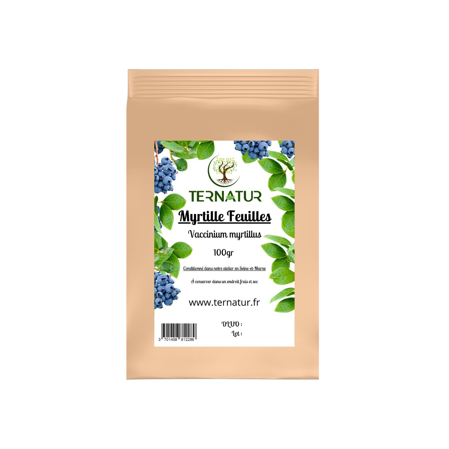 myrtille-feuilles-tisane