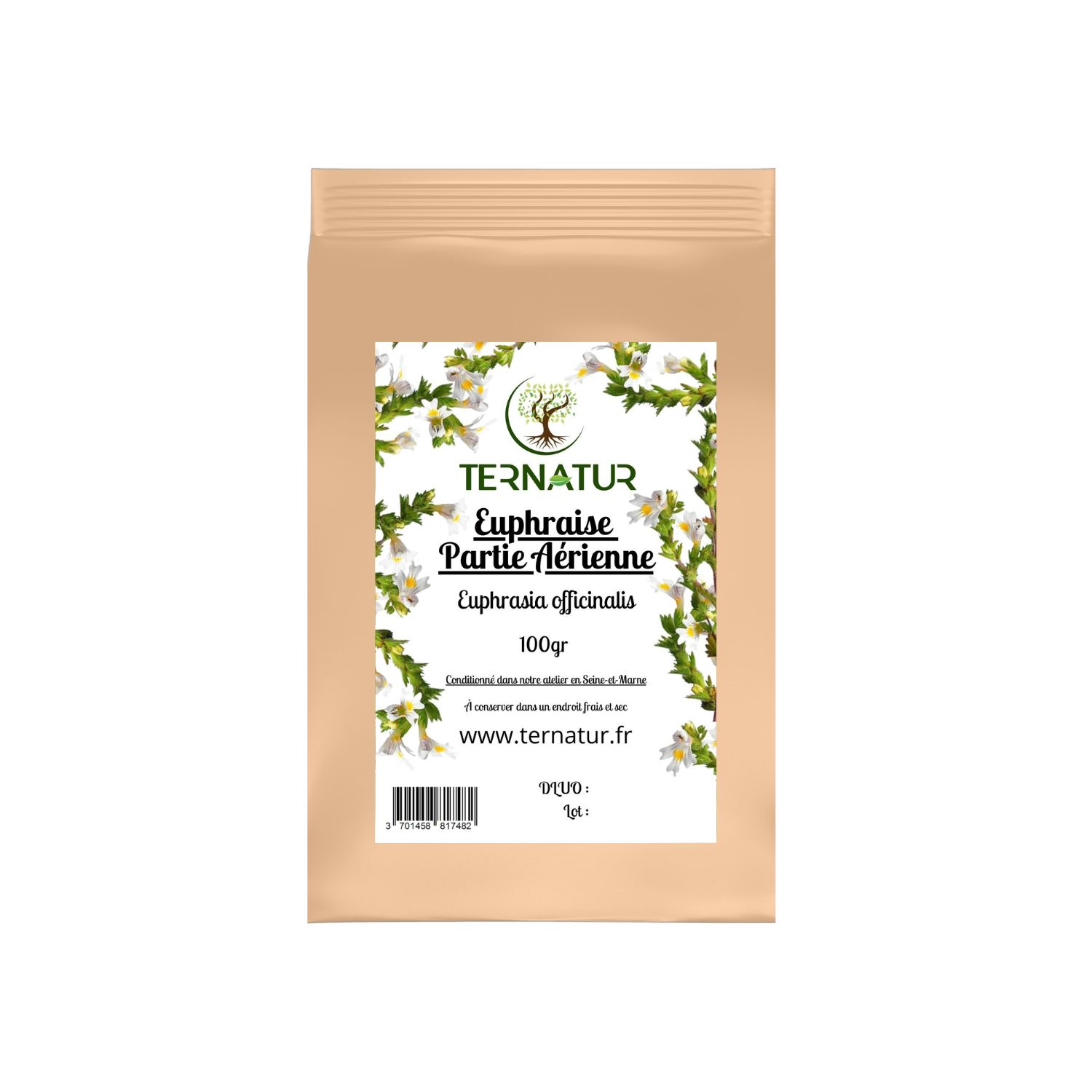 euphraise-tisane