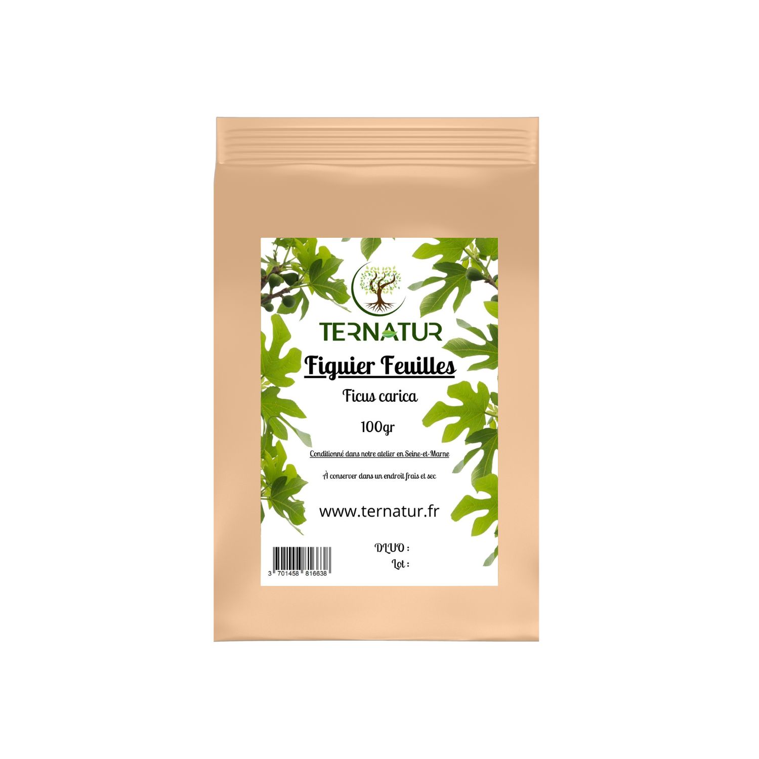 figuier-tisane