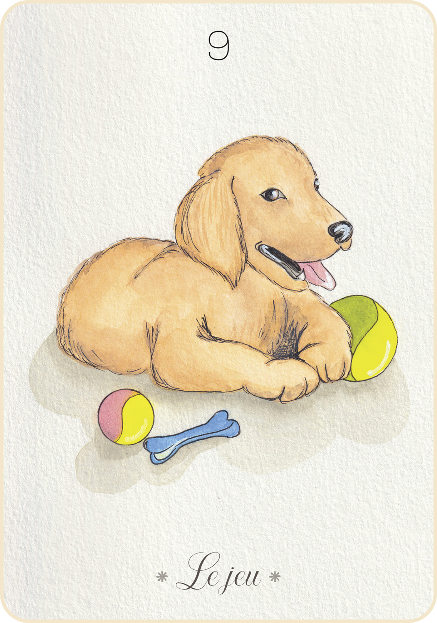 oracle-animal-compagnie9