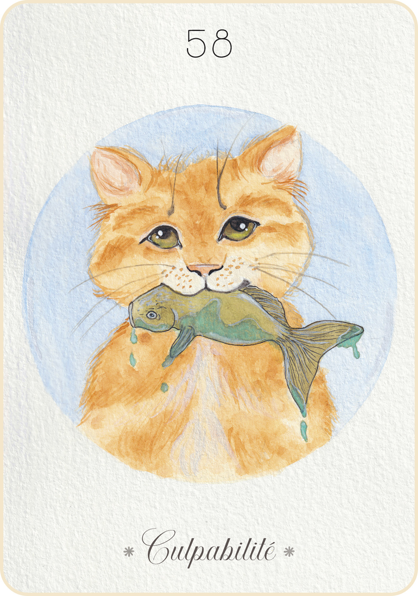 oracle-animal-compagnie14