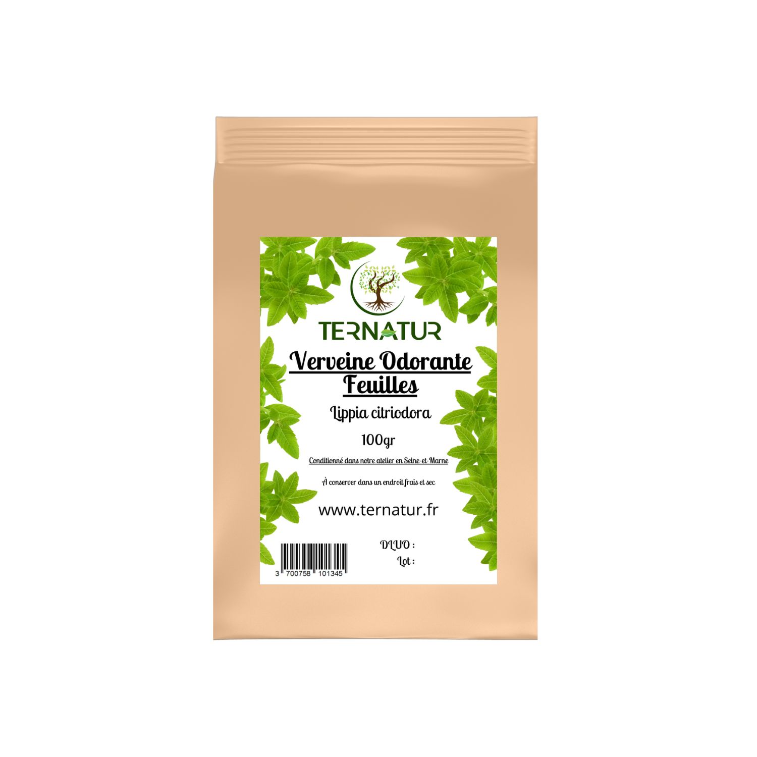 verveine-tisane