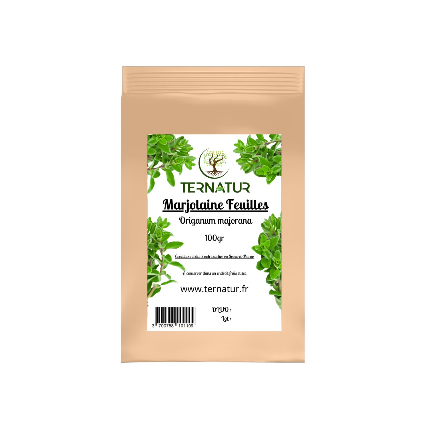 Marjolaine