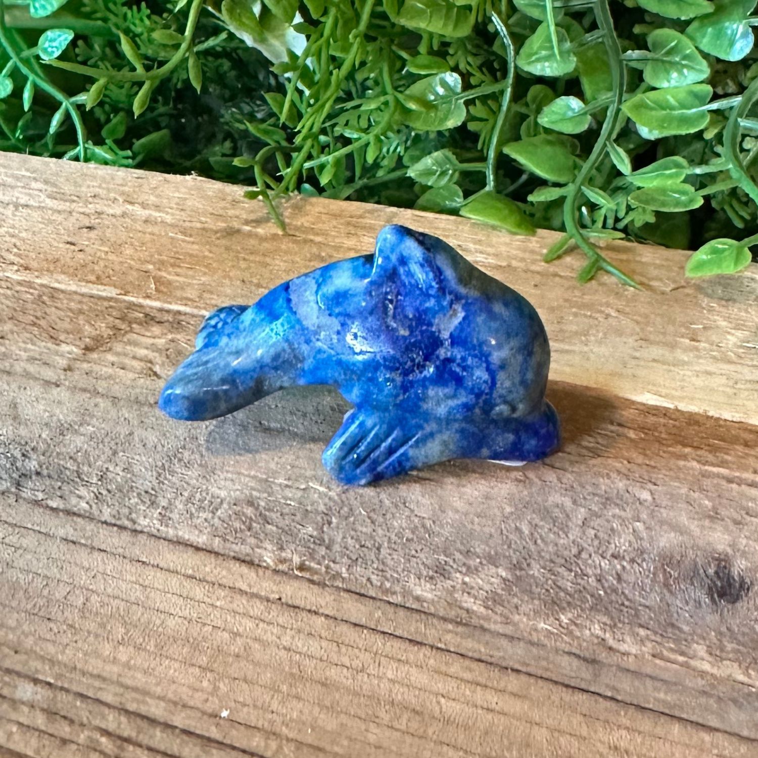 dauphin-animal-totem1