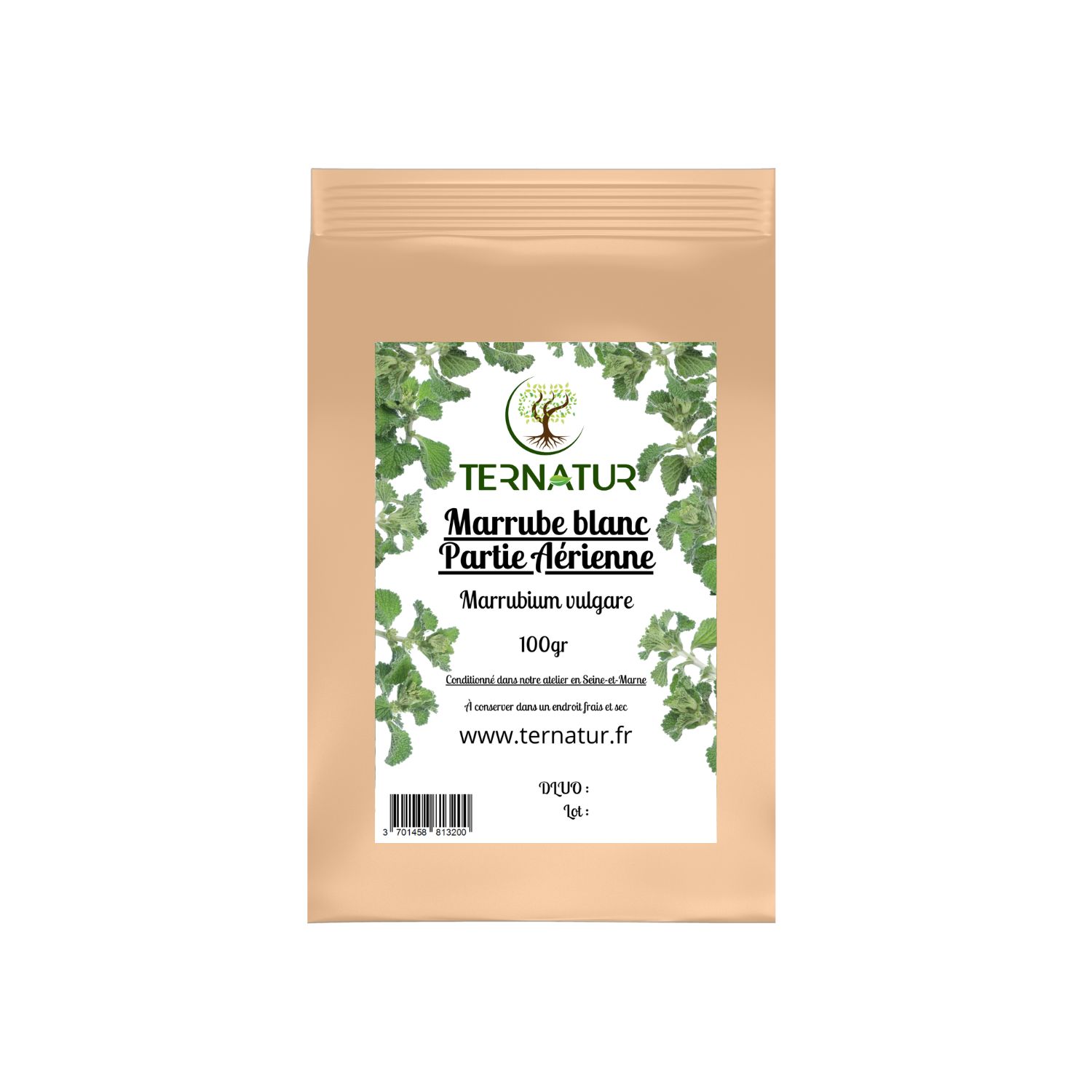 marrube-blanc-tisane