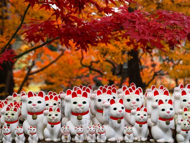tokyo-gotokuji-temple-214444
