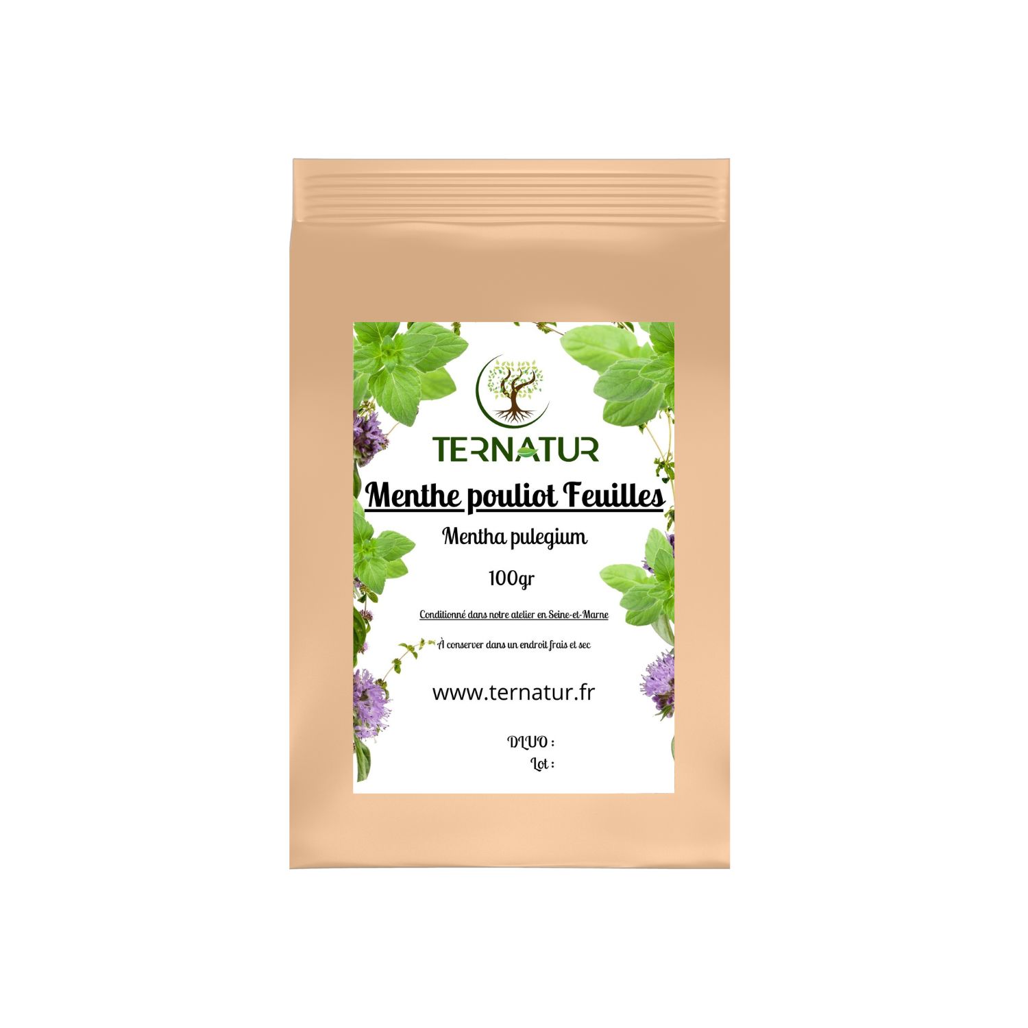 menthe-pouliot-tisane