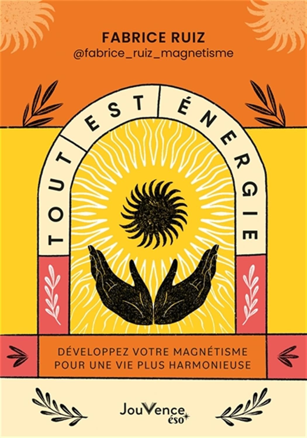 tout-est-energie-fabrice-ruiz71KcugxtGSL._SL1500_