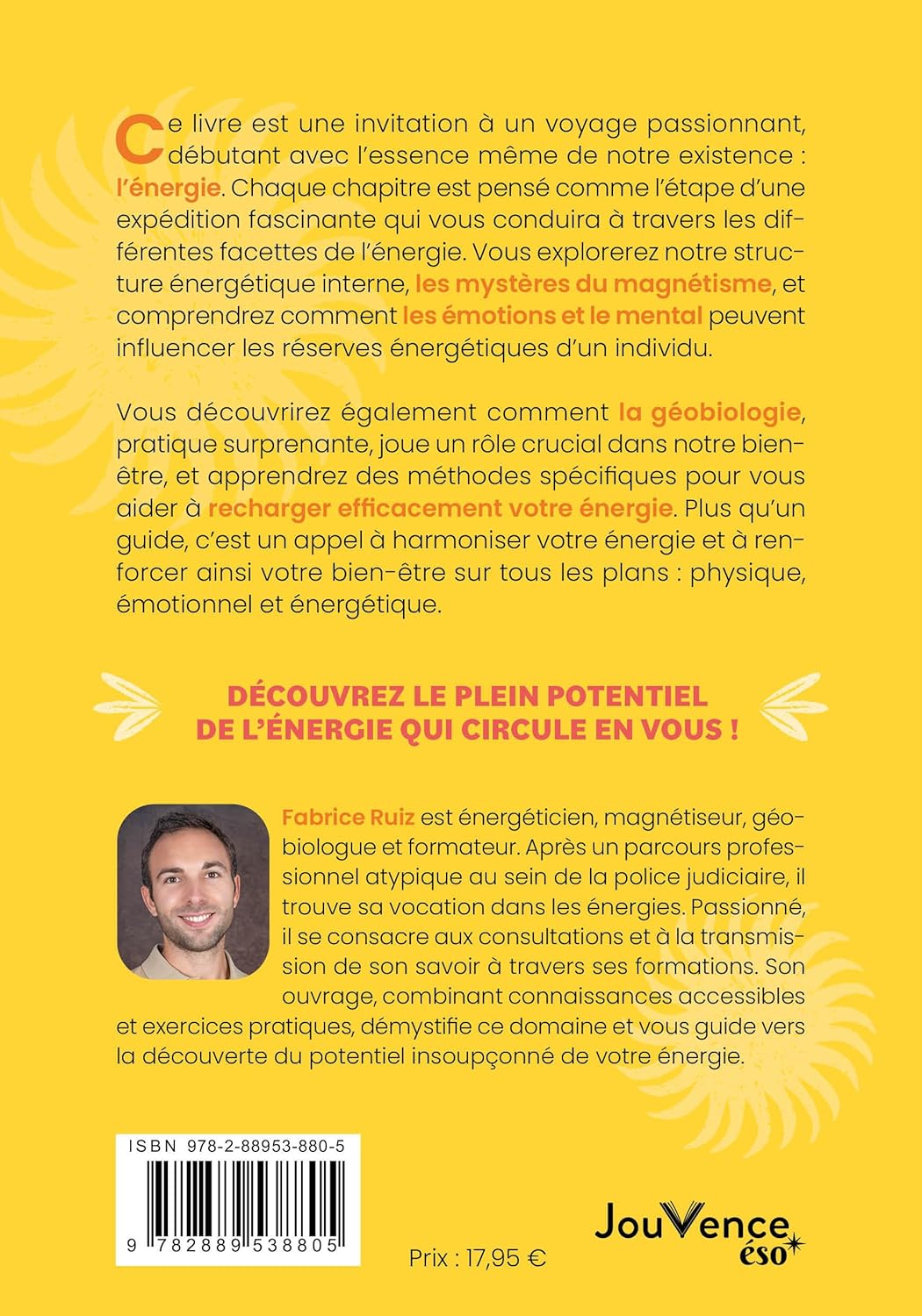 tout-est-energie-fabrice-ruiz81SgBfgfJ1L._SL1500_