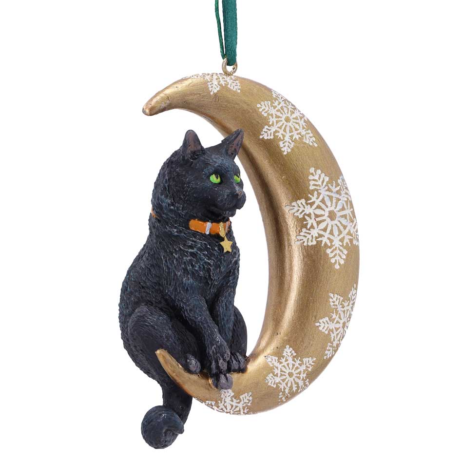 chat-noel-sapin