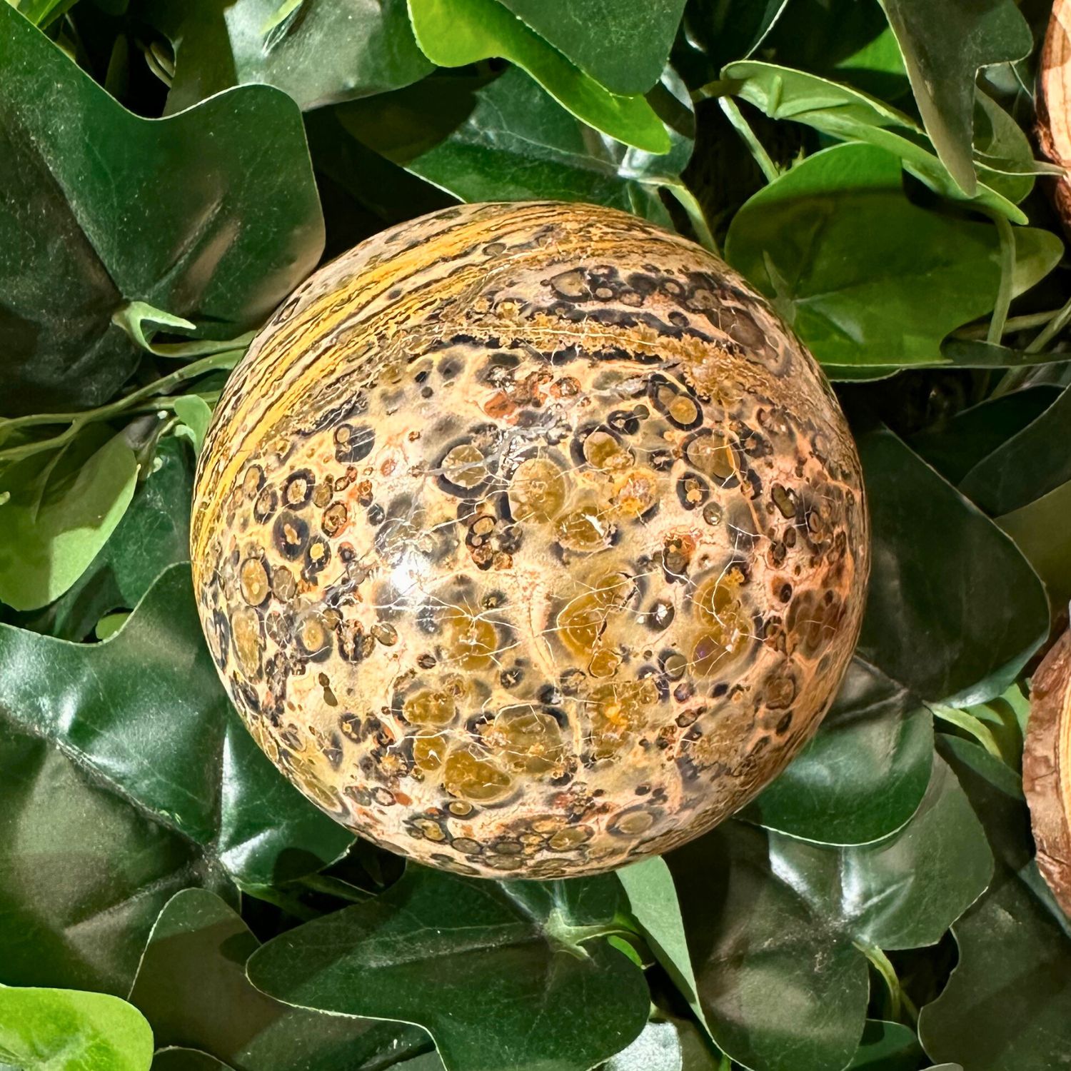 SPHERE_JASPE_LEOPARD1