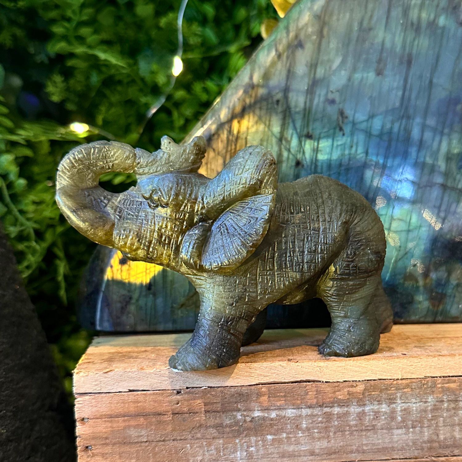elephant-labradorite-animal-totem1