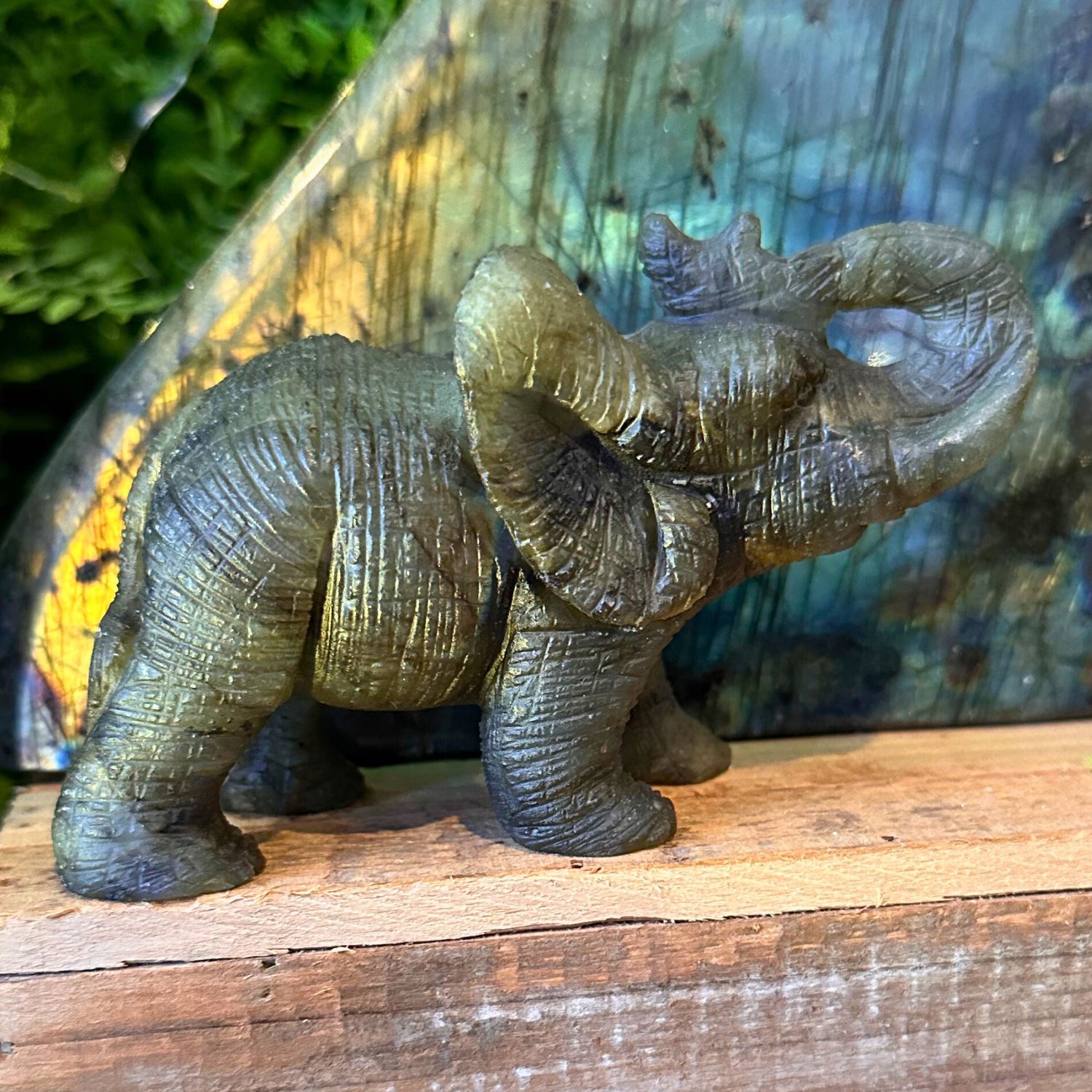elephant-labradorite-animal-totem2