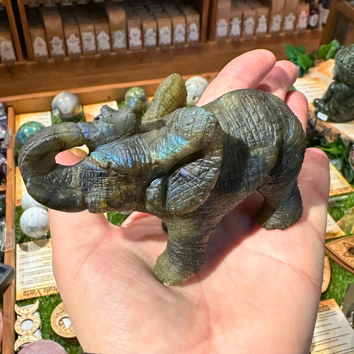elephant-labradorite-animal-totem4