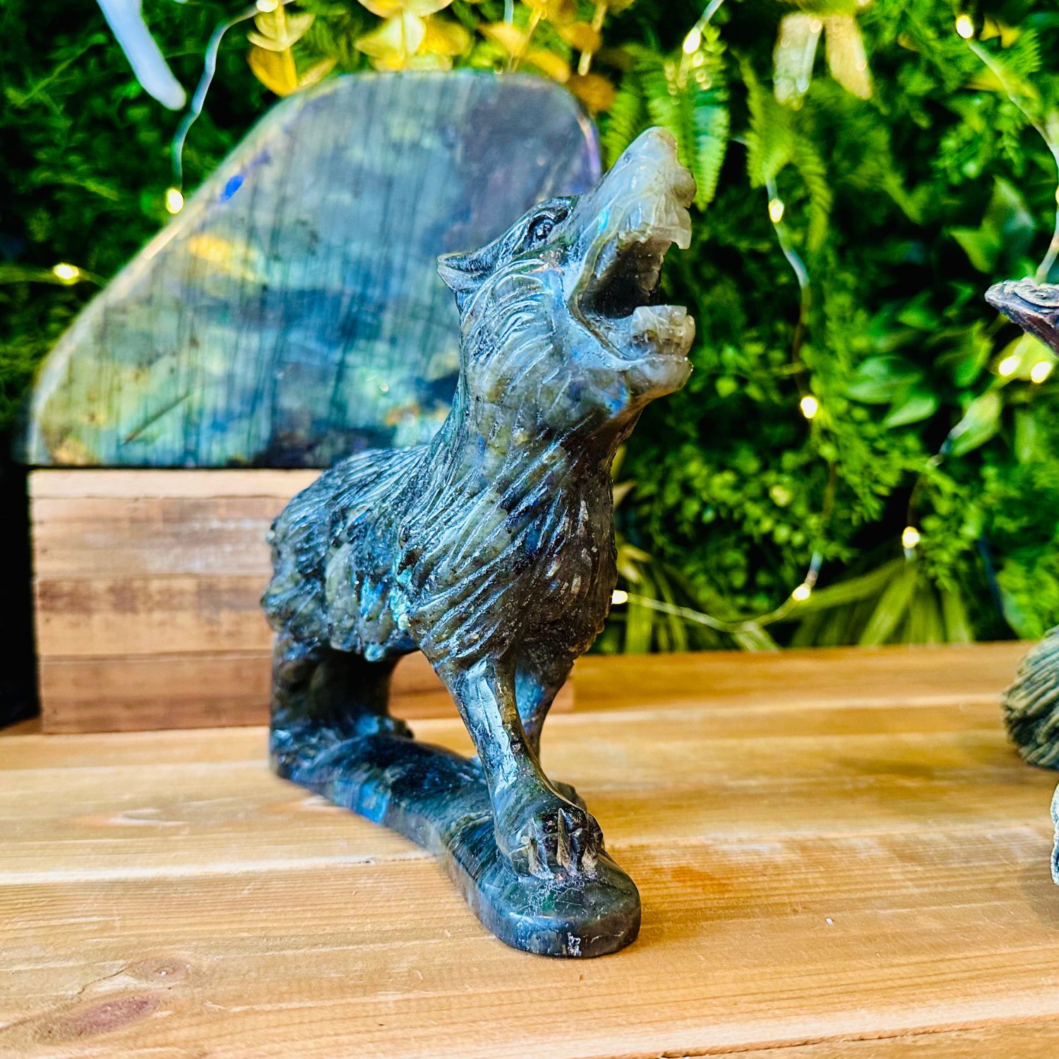 LOUP_LABRADORITE14
