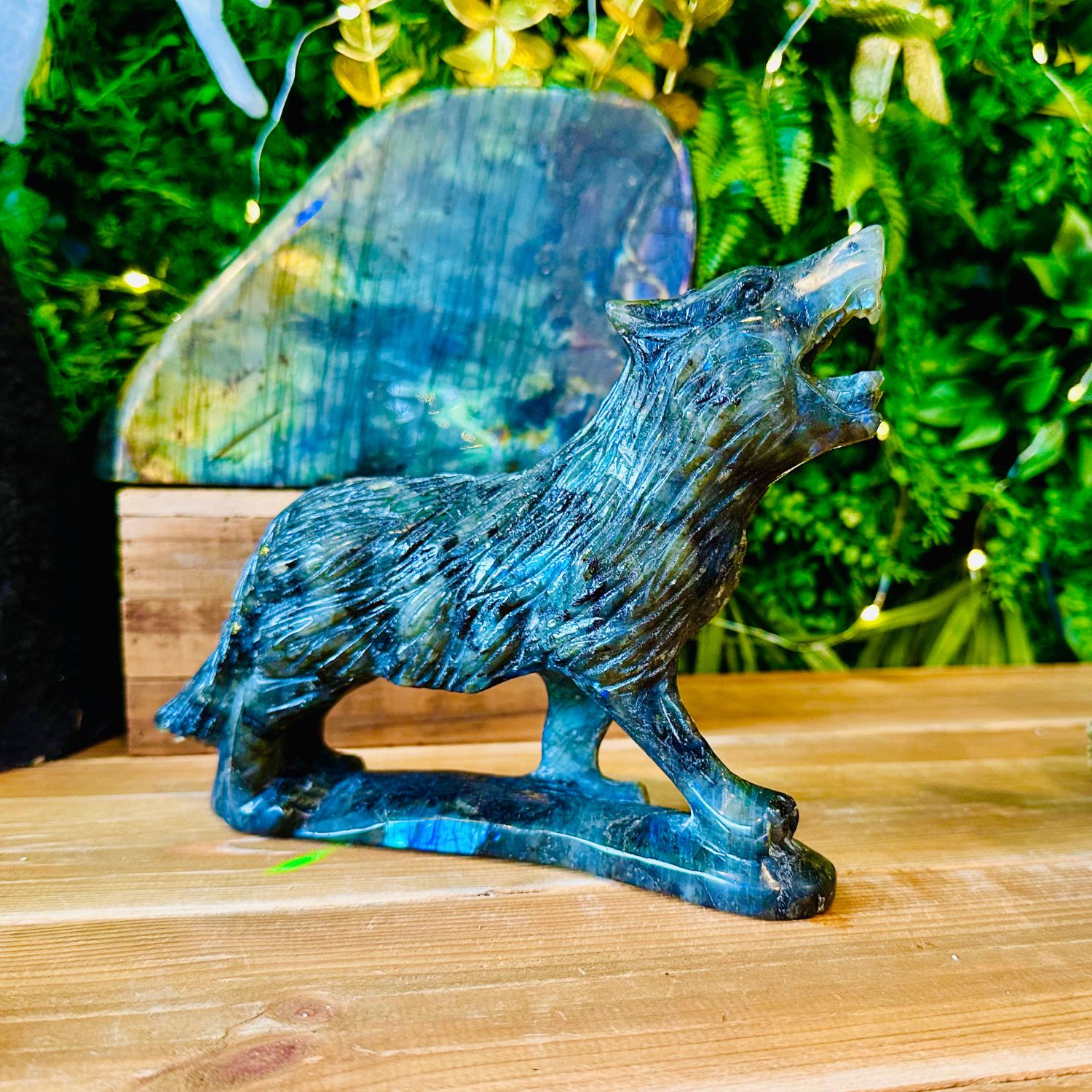 LOUP_LABRADORITE13