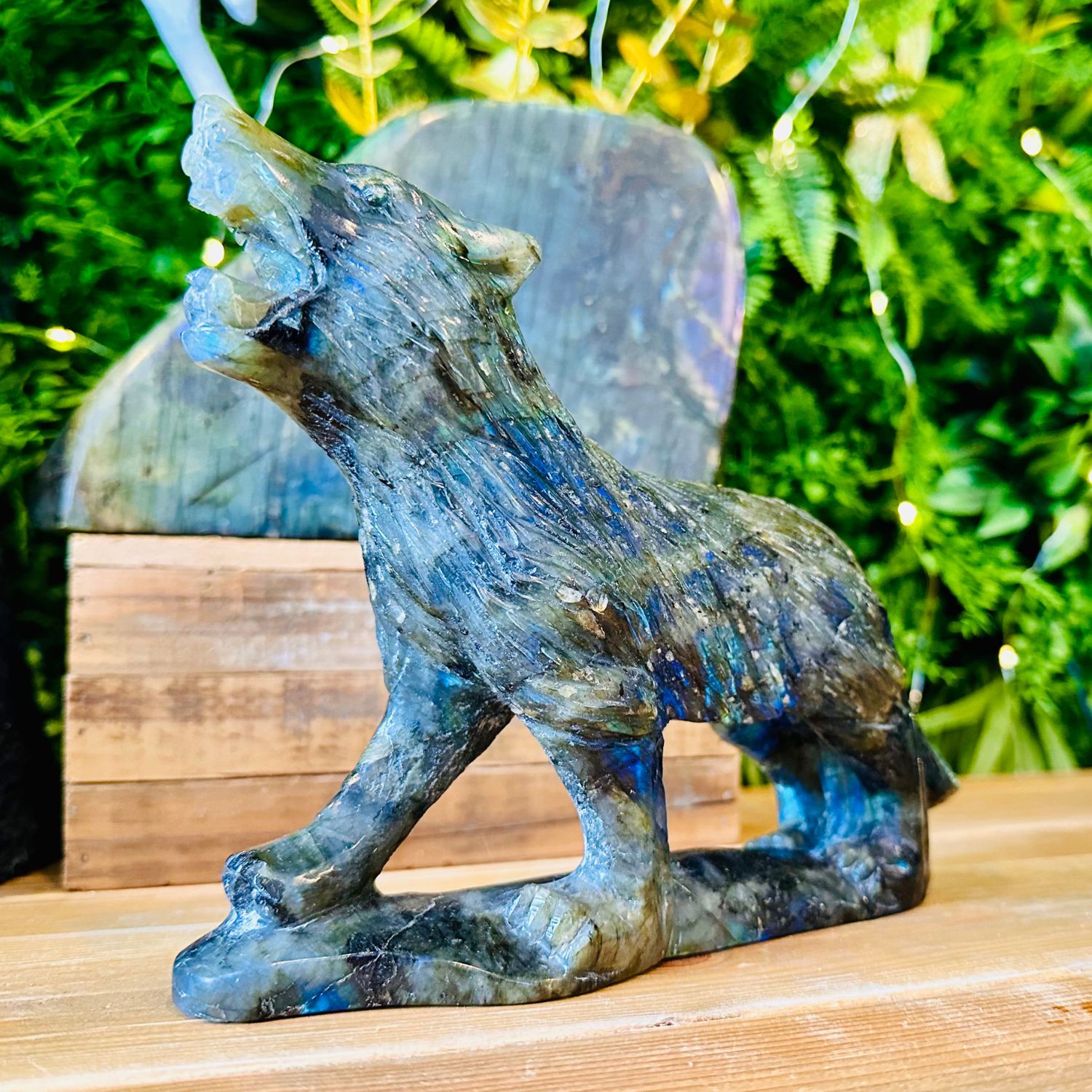 LOUP_LABRADORITE16
