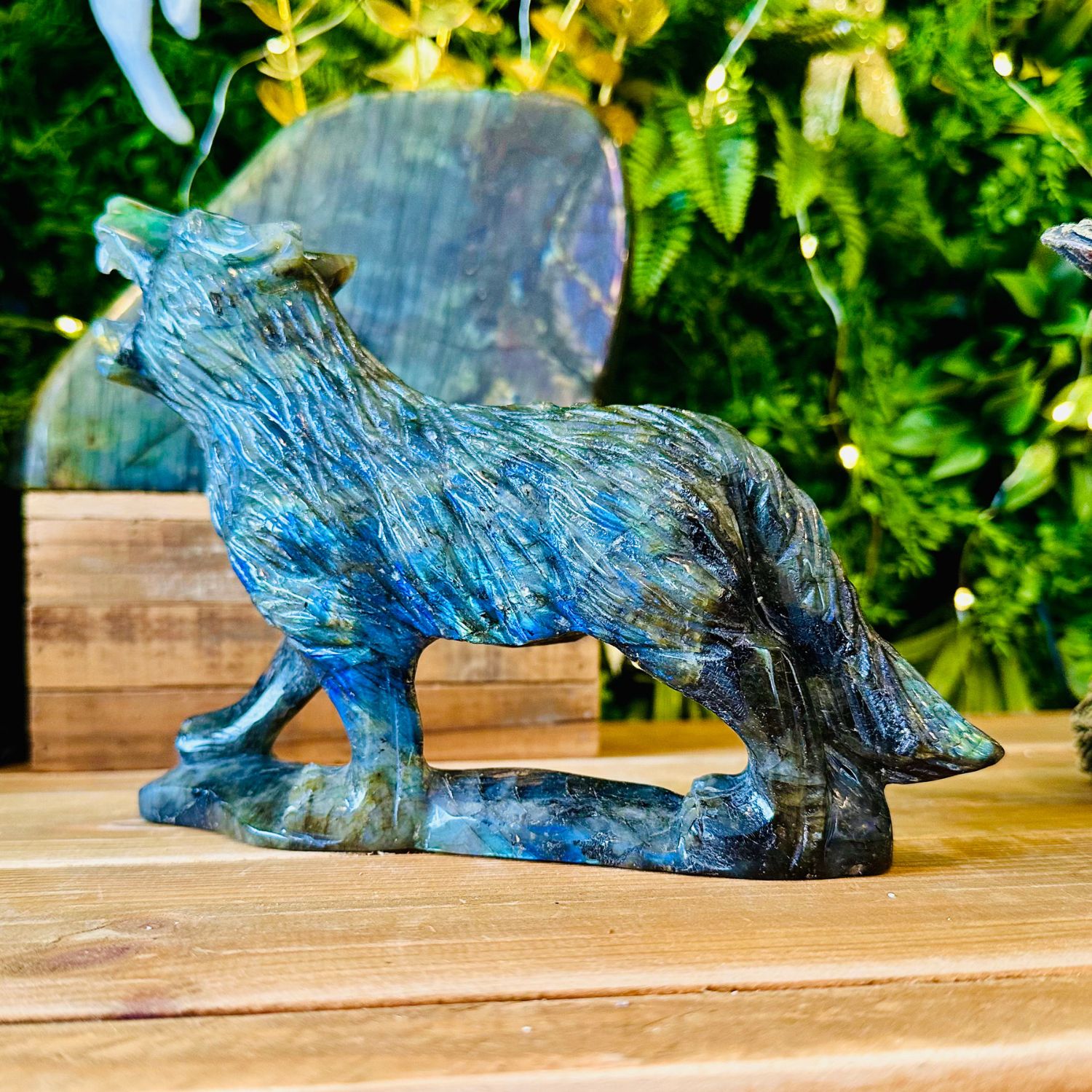 LOUP_LABRADORITE15