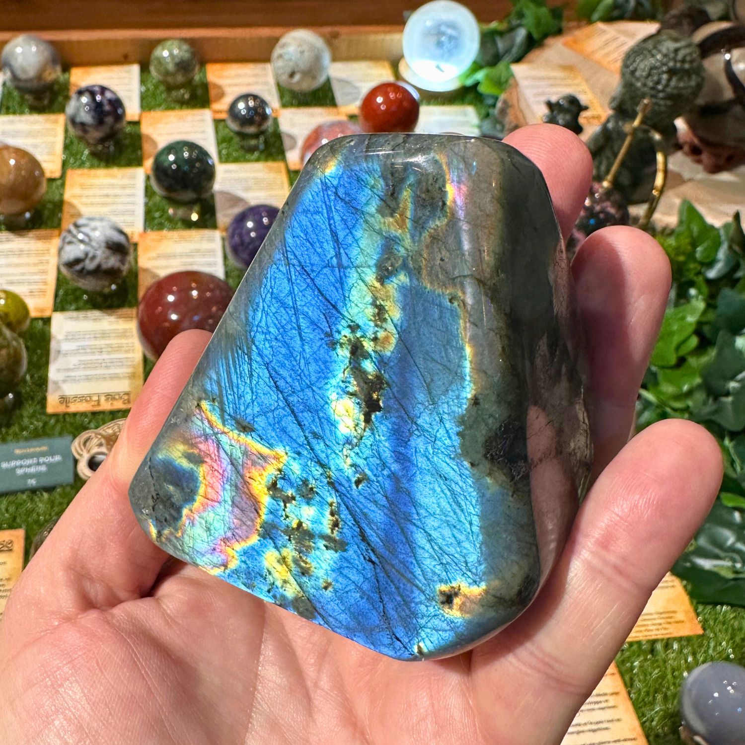 LABRADORITE_FORME_LIBRE1