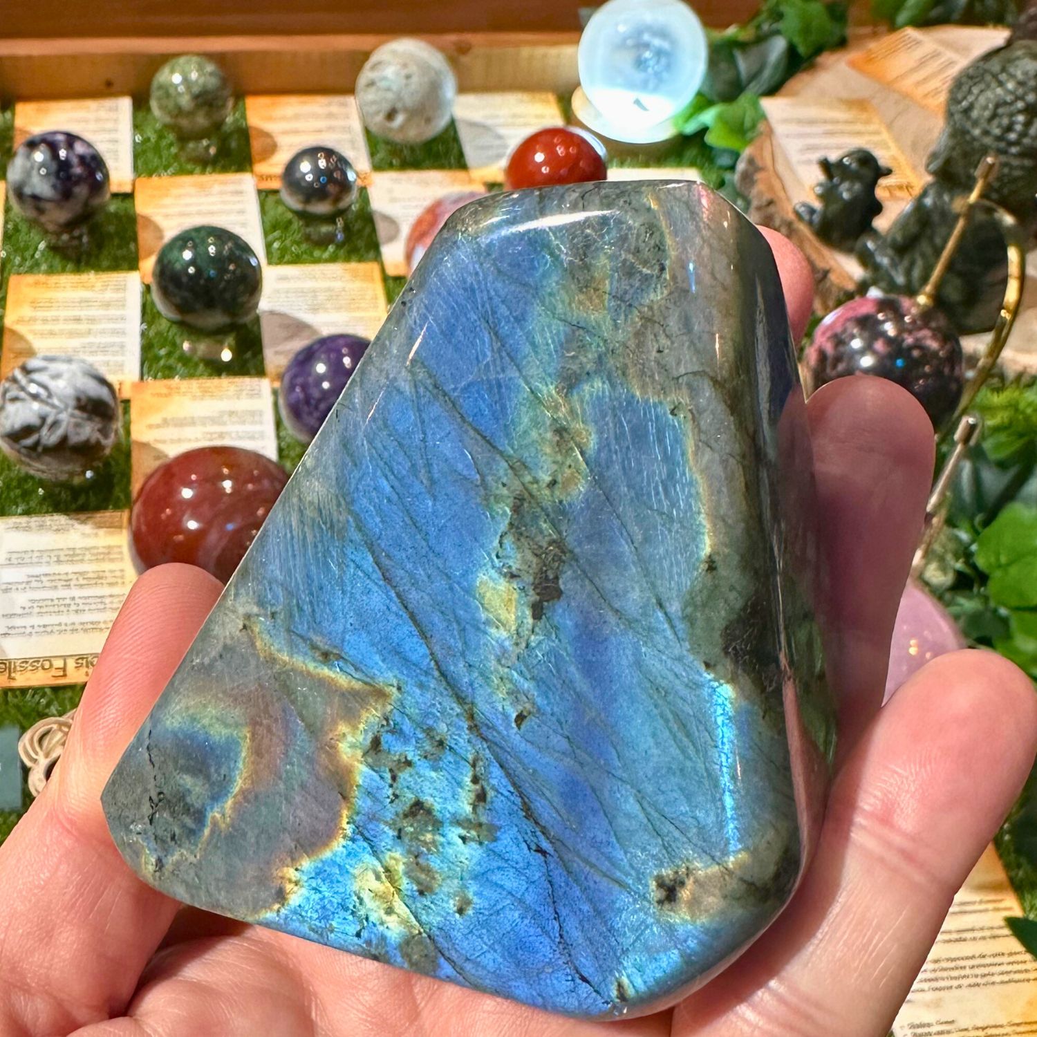 LABRADORITE_FORME_LIBRE2