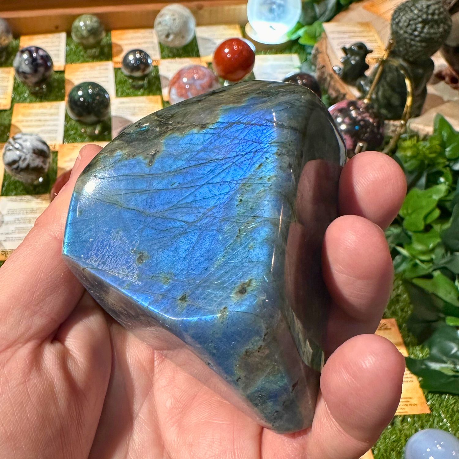 LABRADORITE_FORME_LIBRE3
