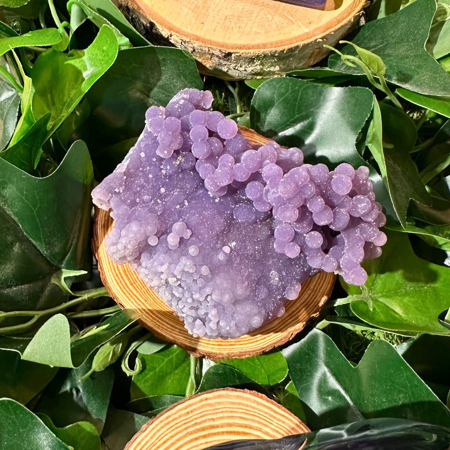 agate-raisin19