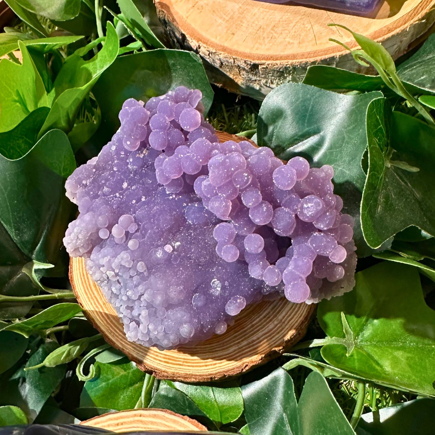 agate-raisin18