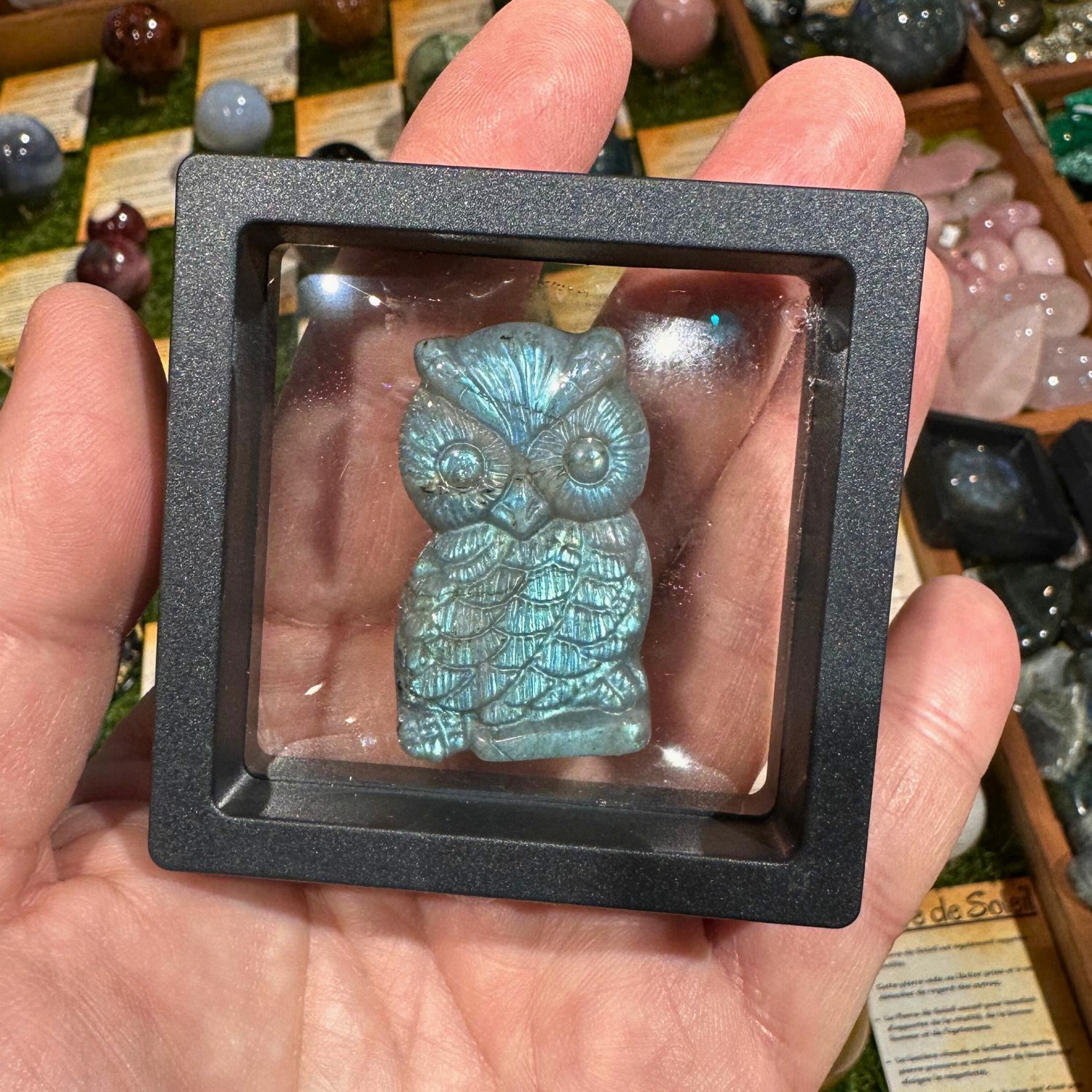 hibou-labradorite1
