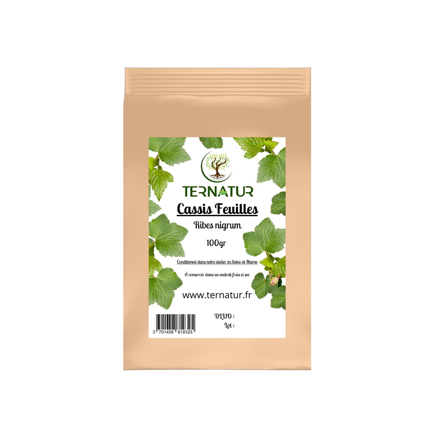 cassis-infusion-tisane