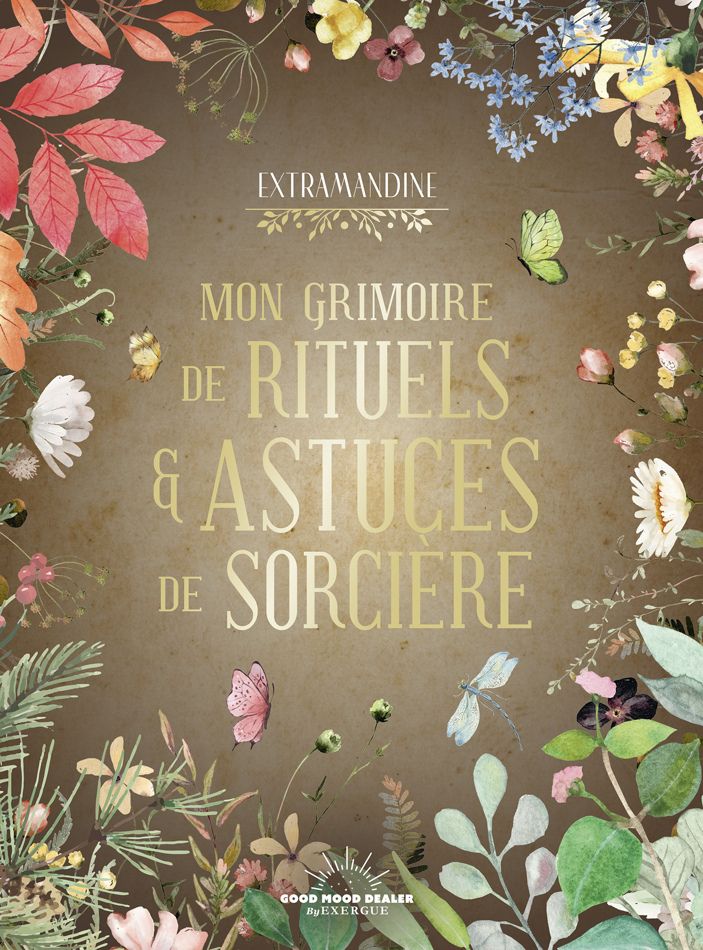 grimoire-astuce-sorciere-extramandine978-2-38578-068-5_img_0