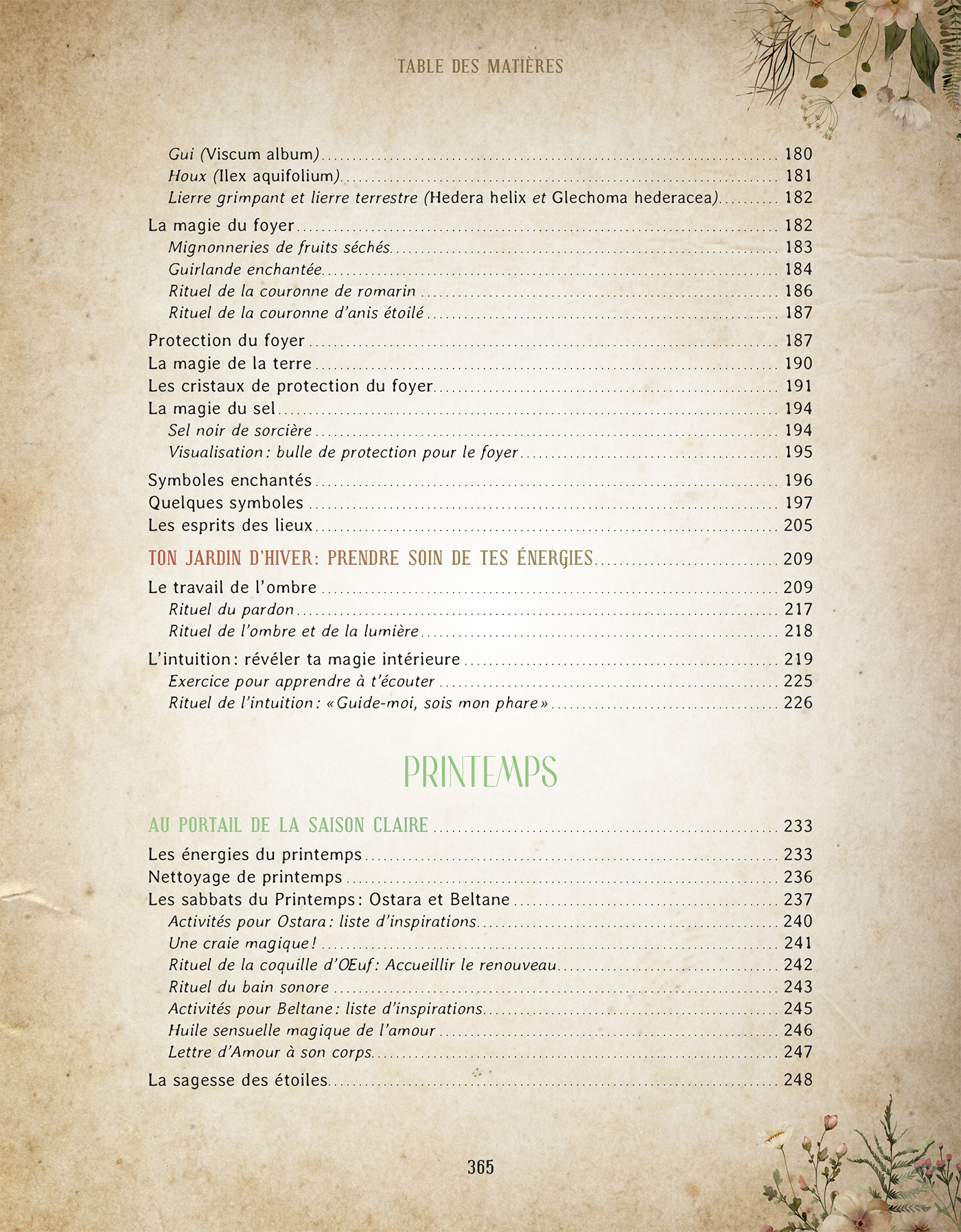 grimoire-astuce-sorciere-extramandine978-2-38578-068-5_img_6