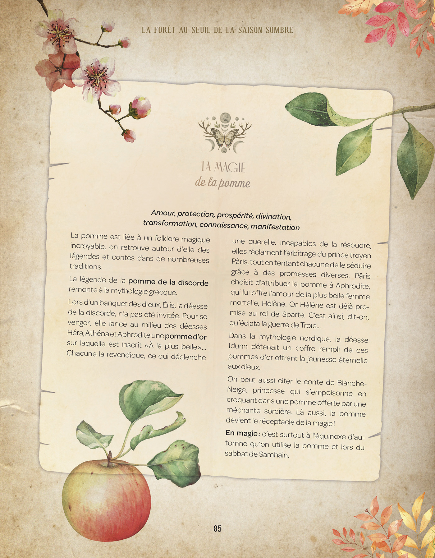 grimoire-astuce-sorciere-extramandine978-2-38578-068-5_img_11