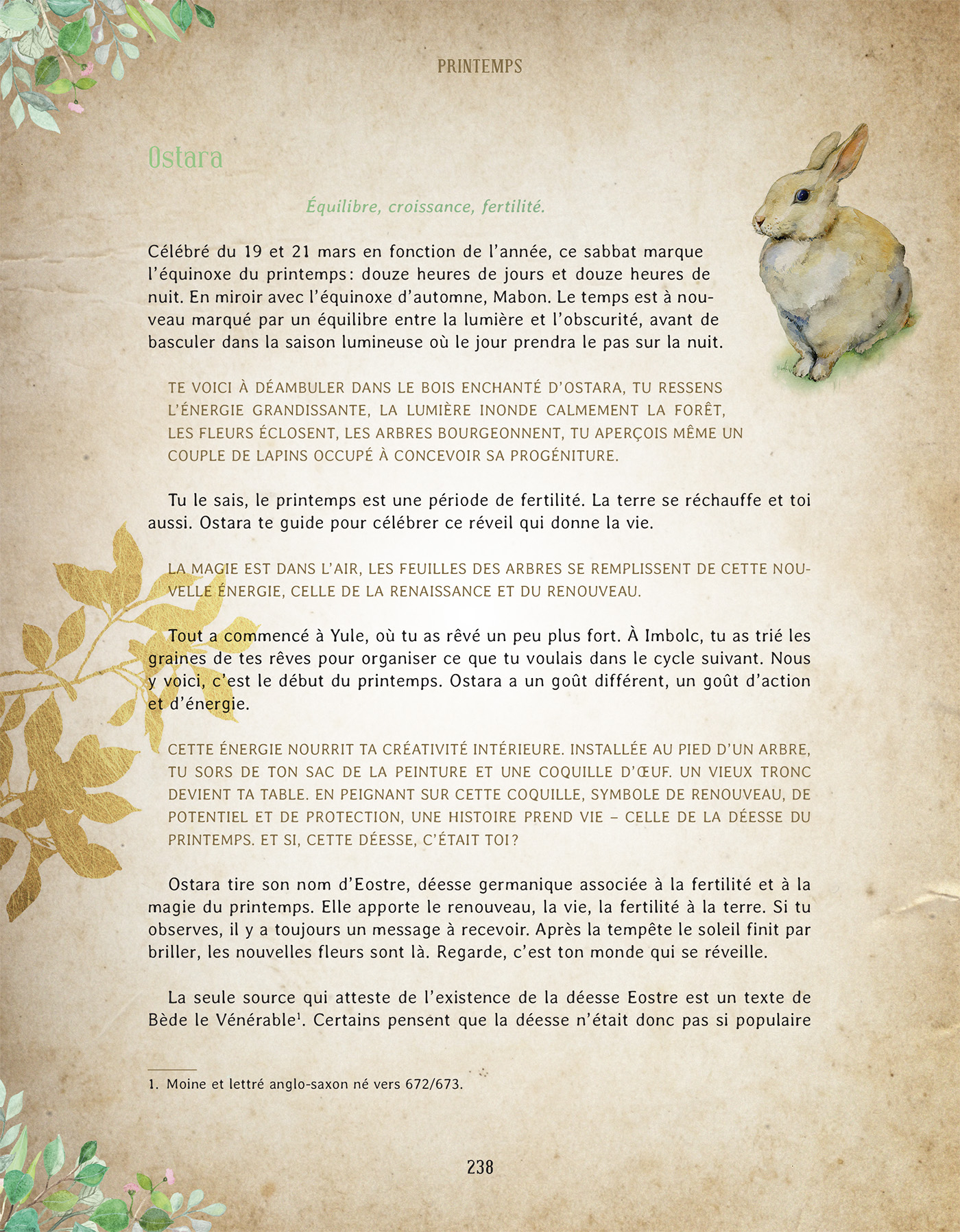 grimoire-astuce-sorciere-extramandine978-2-38578-068-5_img_15