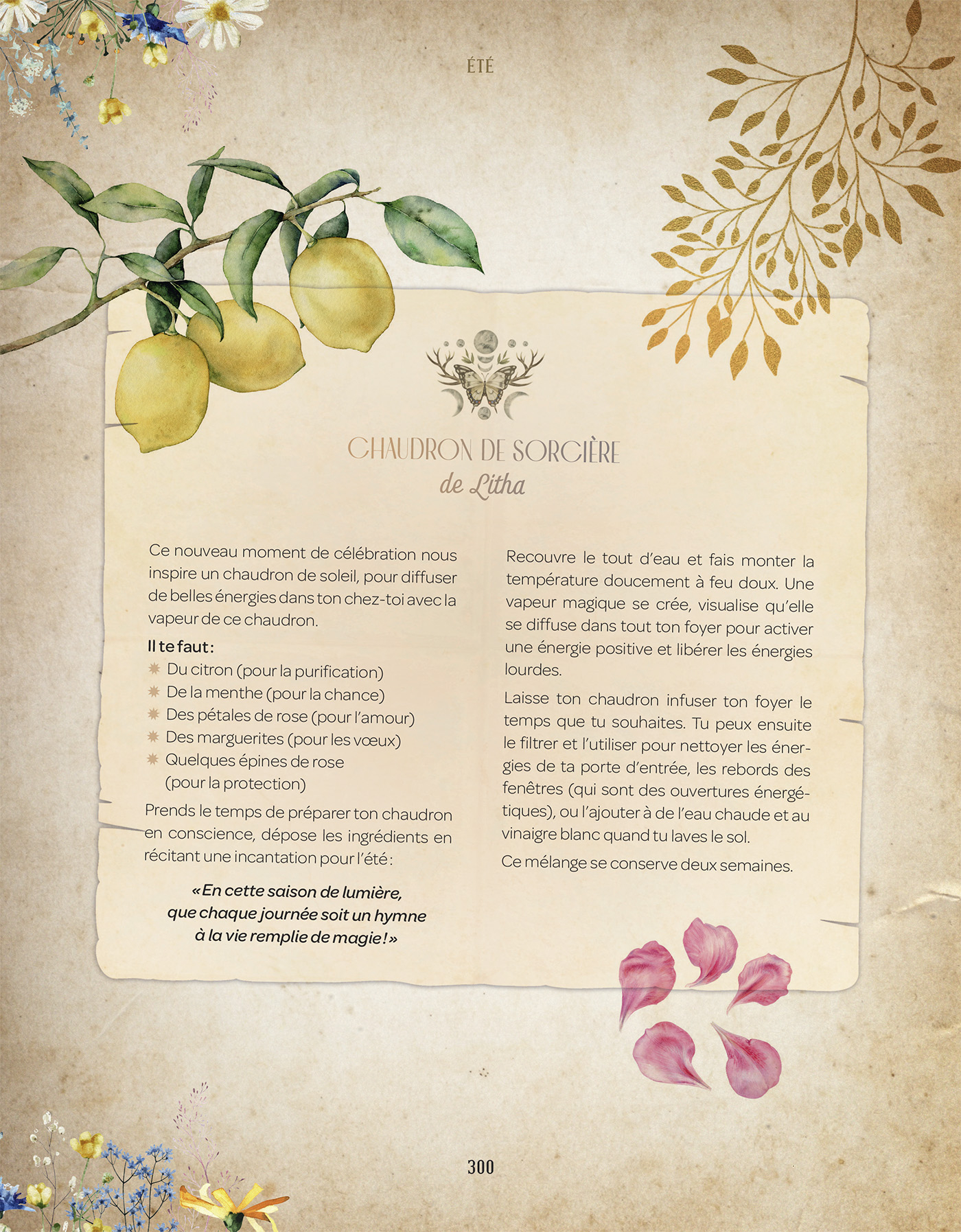 grimoire-astuce-sorciere-extramandine978-2-38578-068-5_img_17