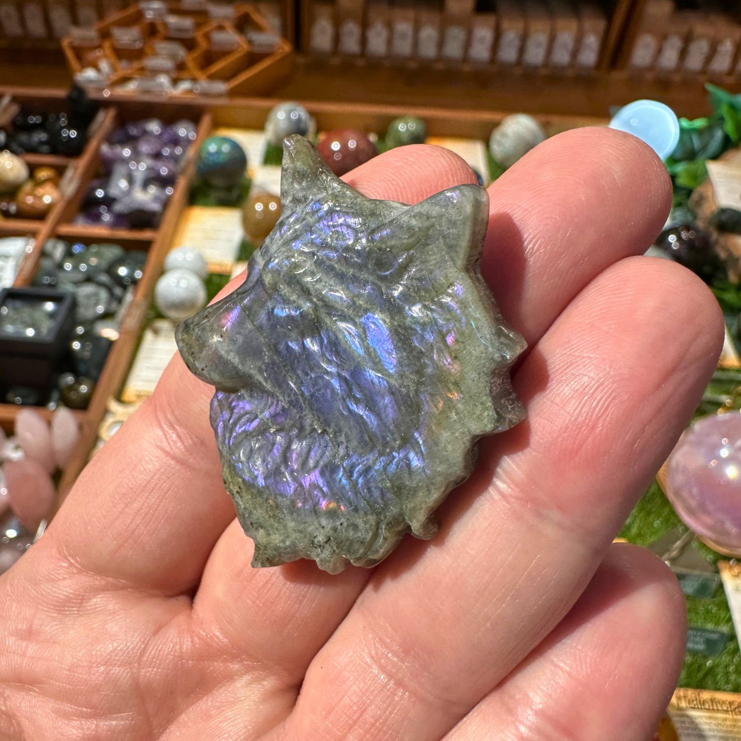 LOUP_LABRADORITE2