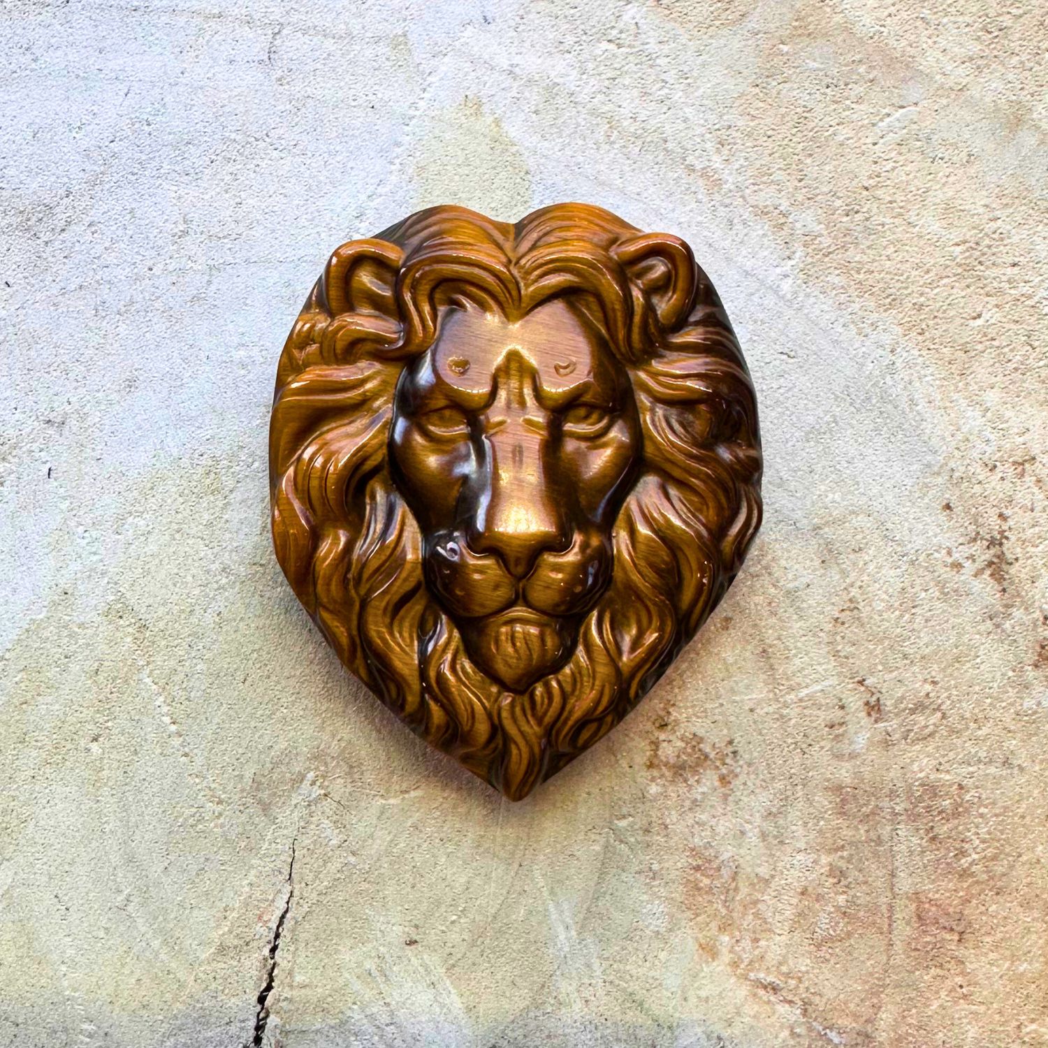 lion-oeil-de-tigre