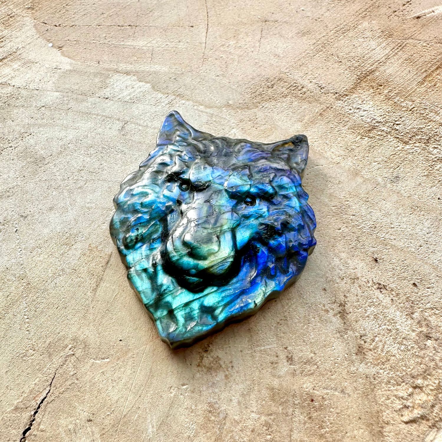 loup-labradorite2