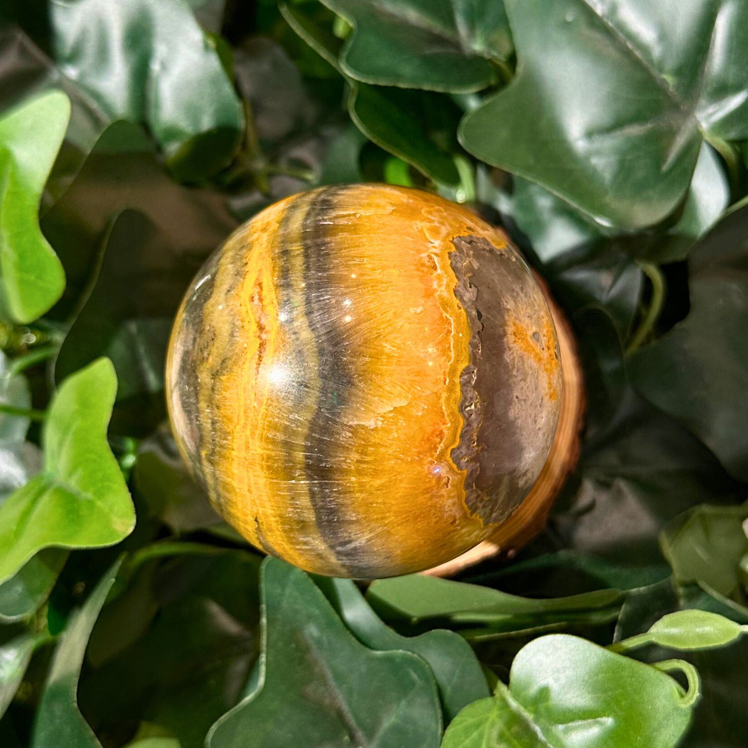 jaspe-bourdon-bumble-bee-sphere13