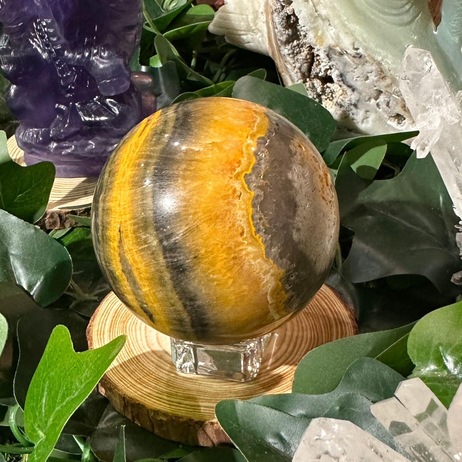 jaspe-bourdon-bumble-bee-sphere14