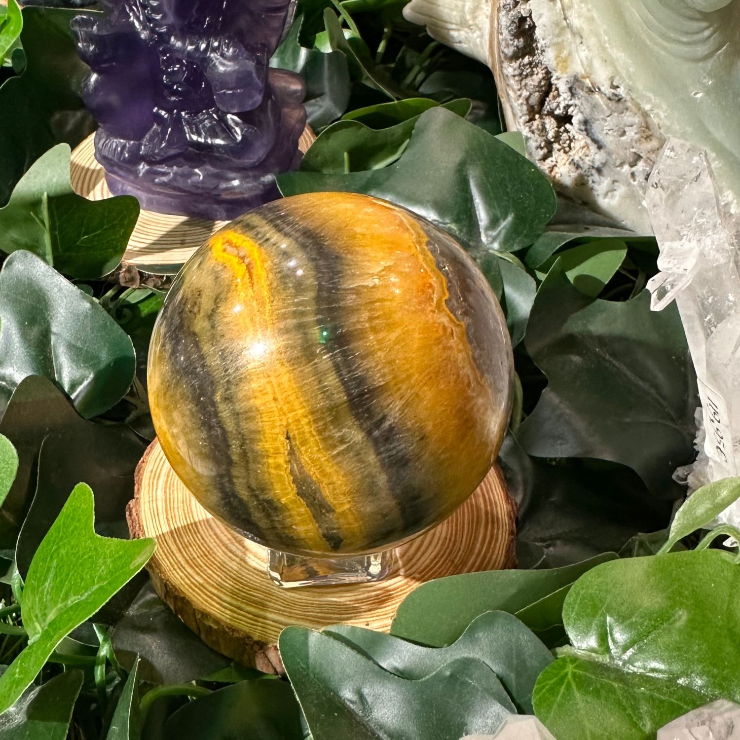 jaspe-bourdon-bumble-bee-sphere15