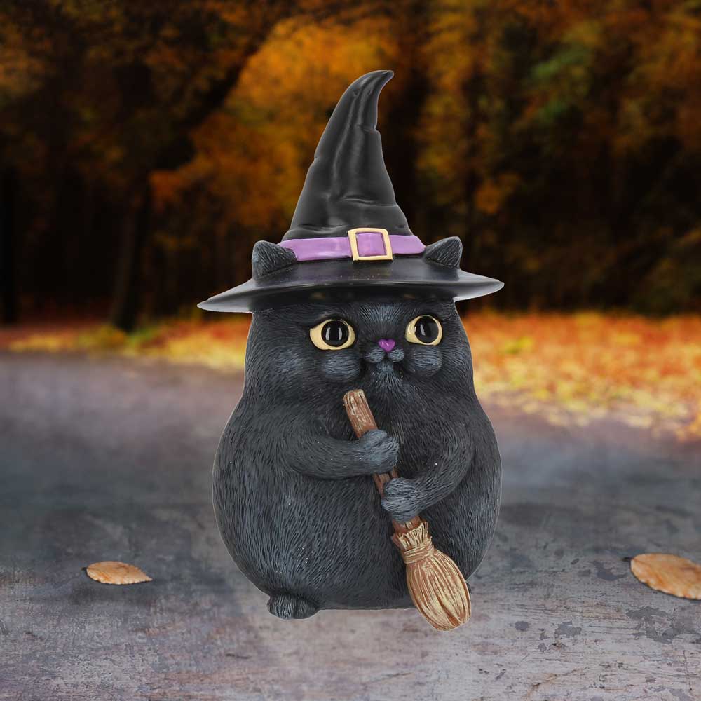 chat-sorcier-porte-bohneur