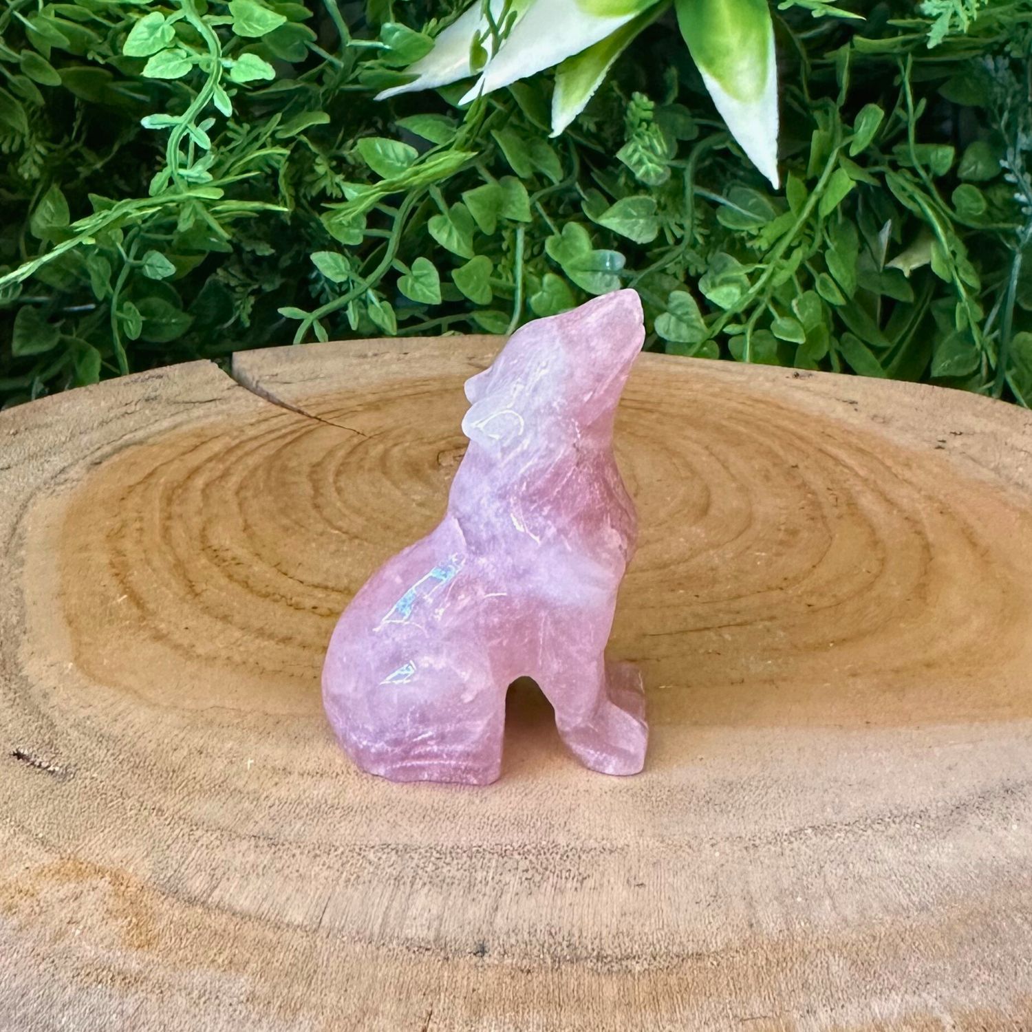 loup-quartz-rose1