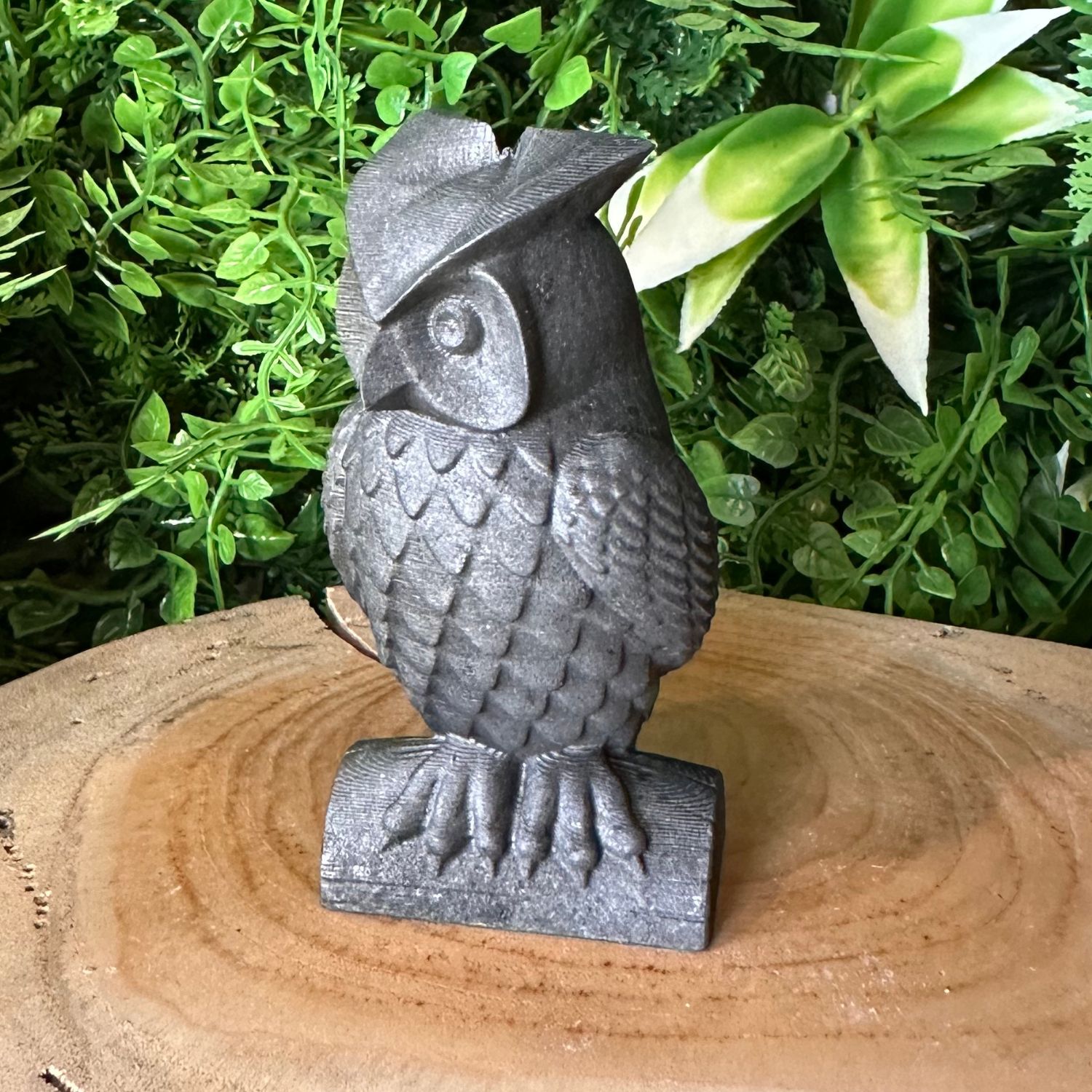 hibou-shungite1