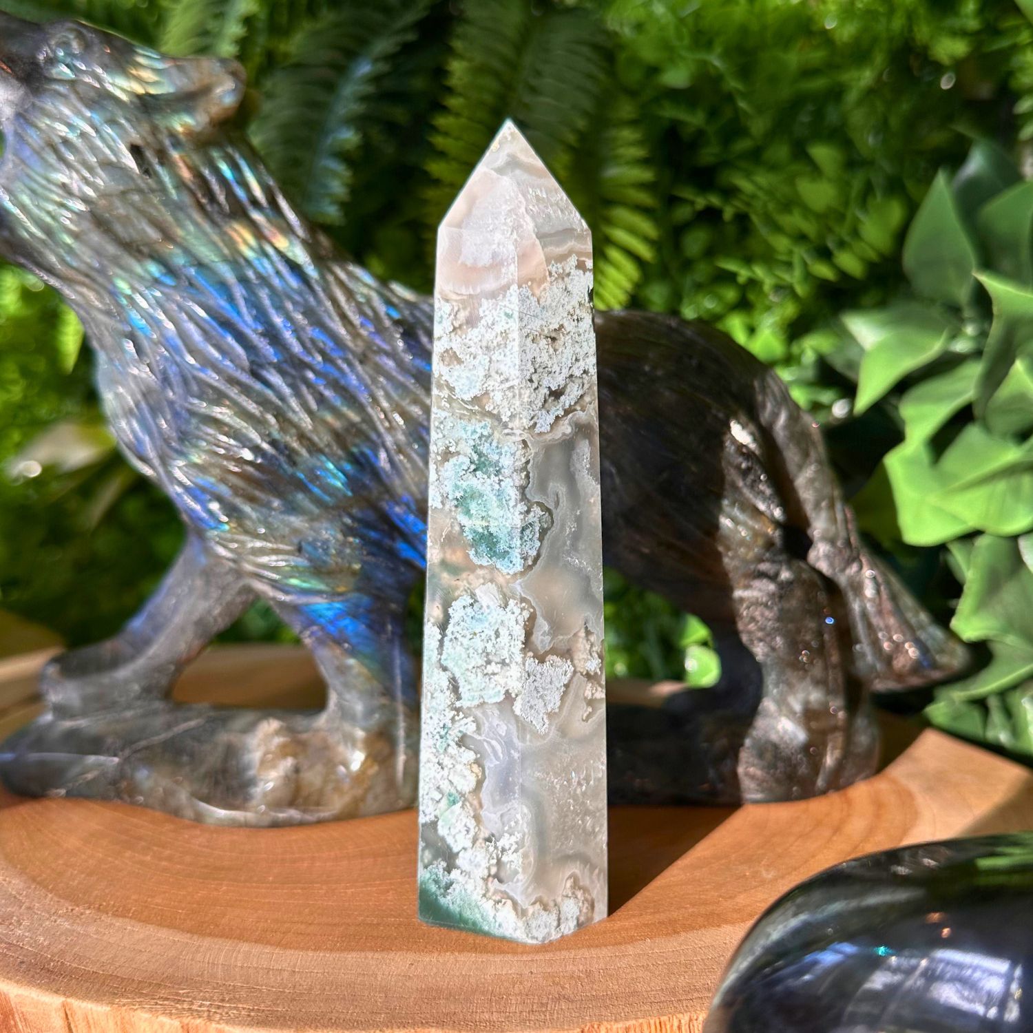 POINTE_AGATE_MOUSSE1